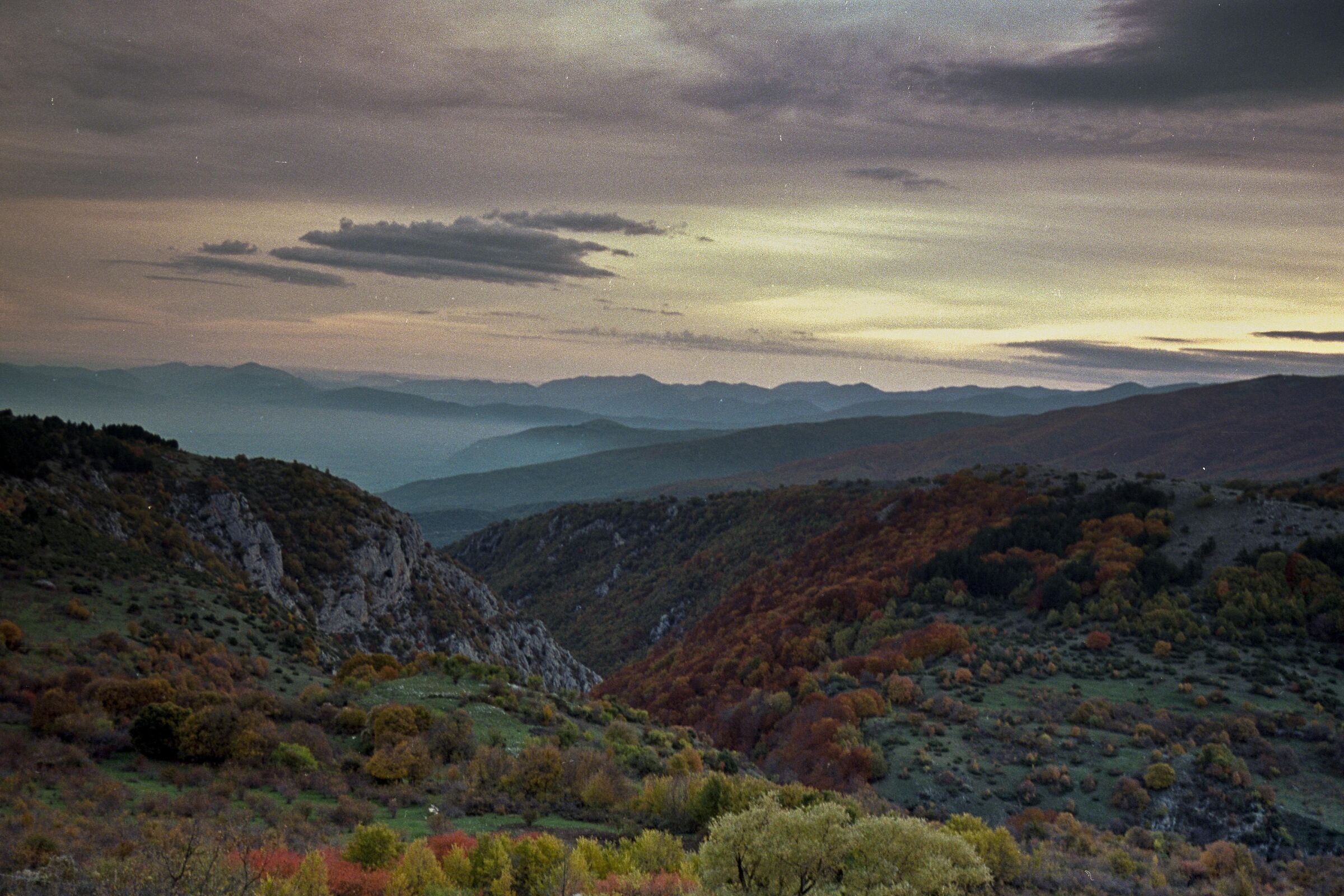 Untitled Photo