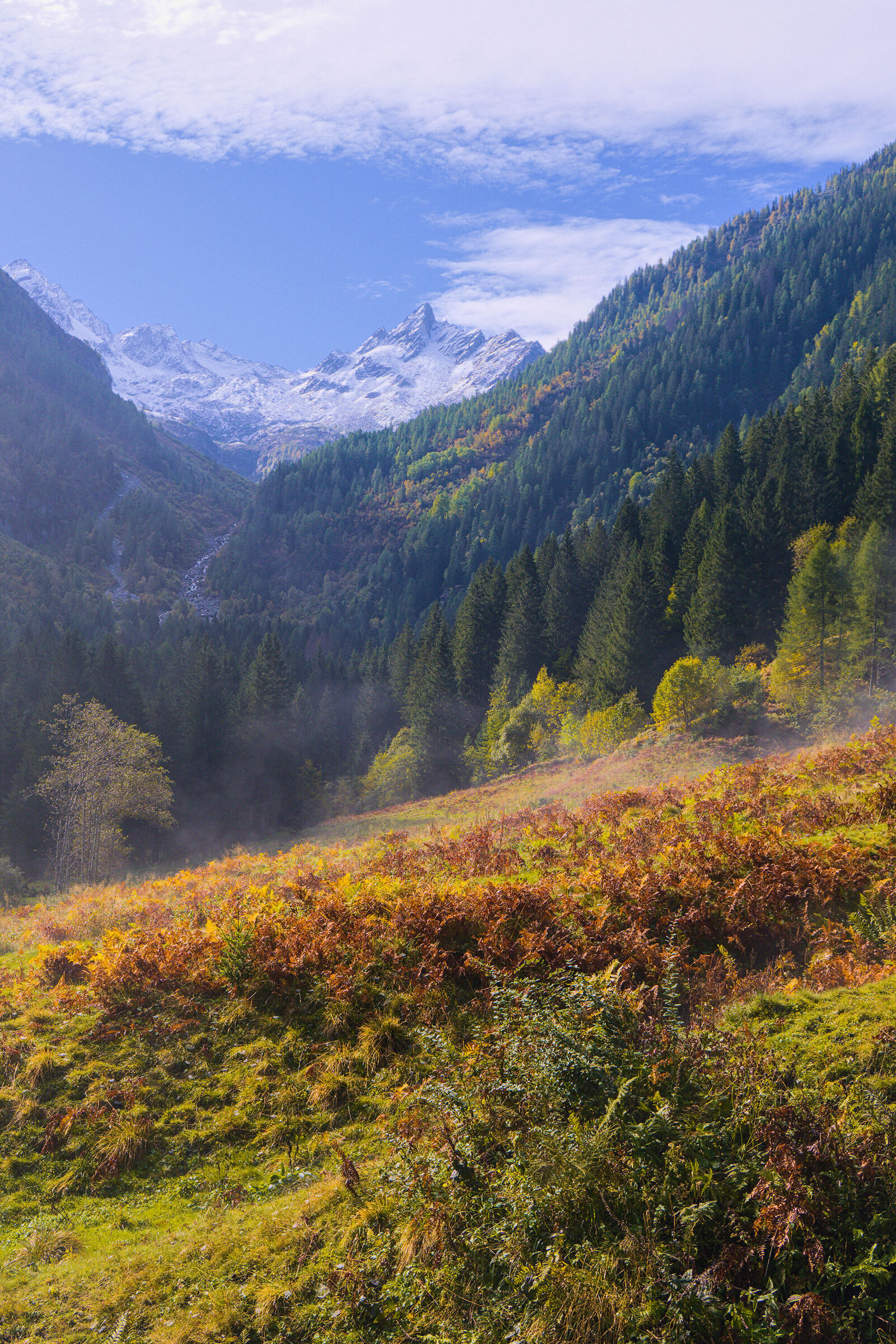 è arrivato l'autunno