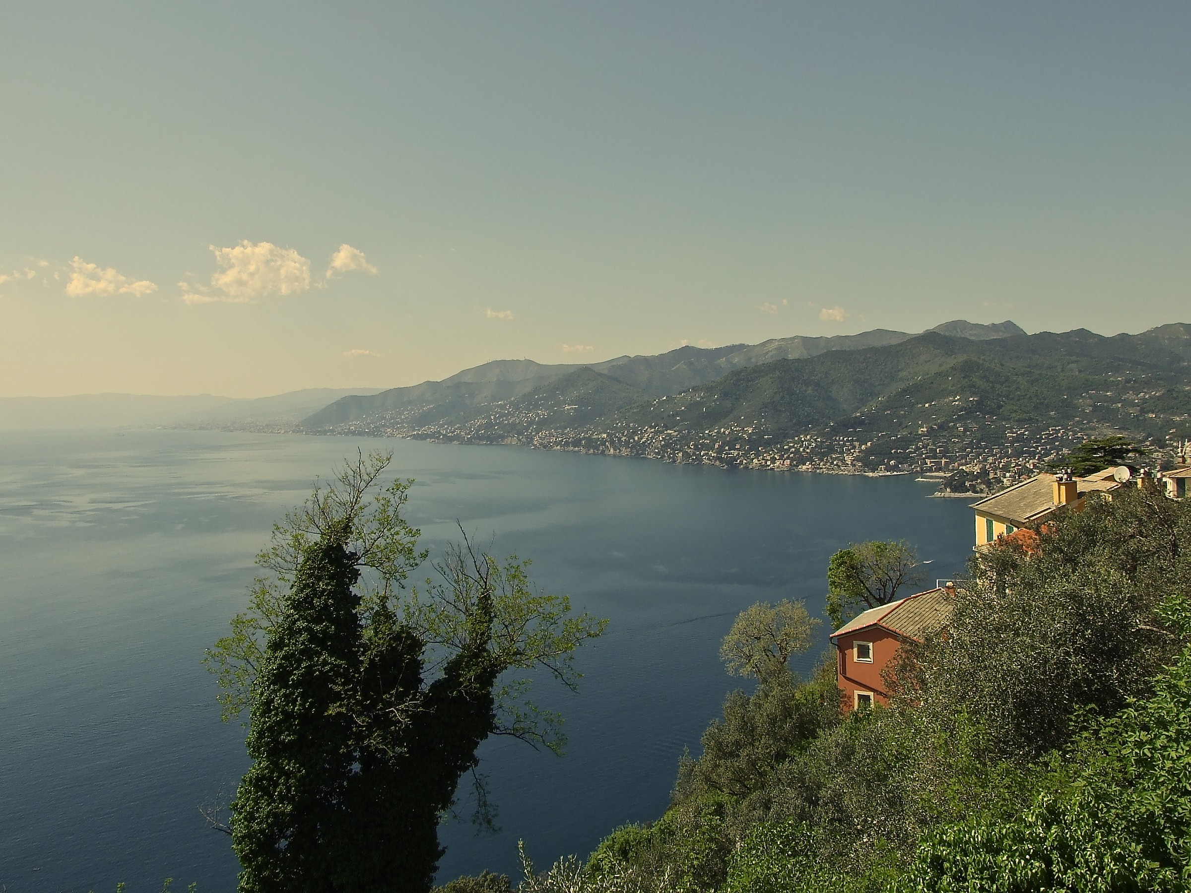View from San Rocco di Camogli