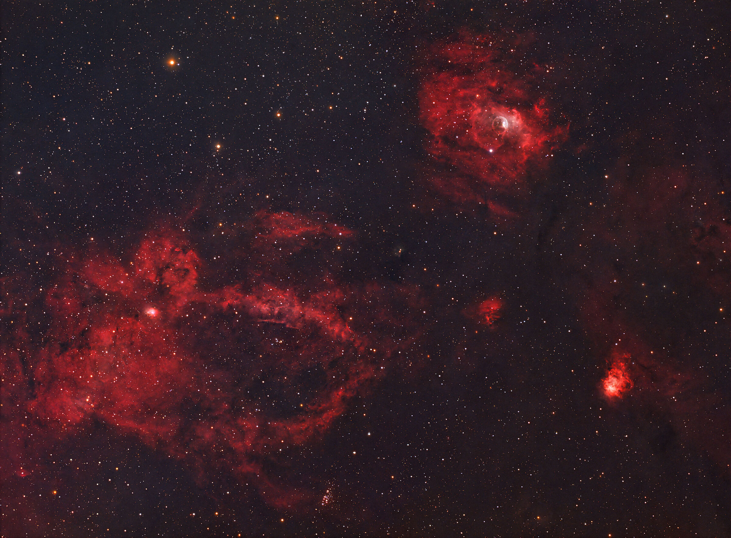 Lobster claw and bubble