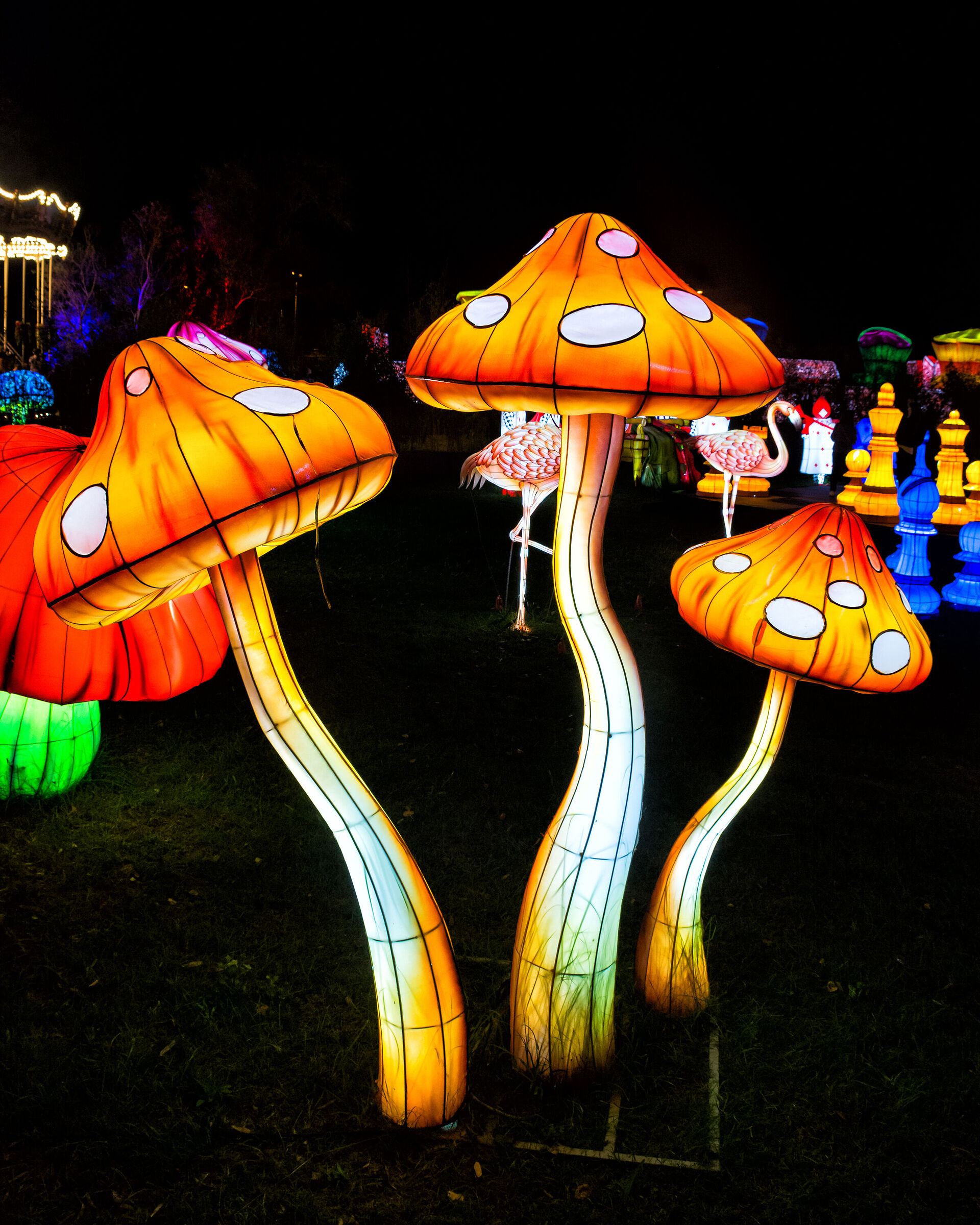 The Three Glowing Mushrooms