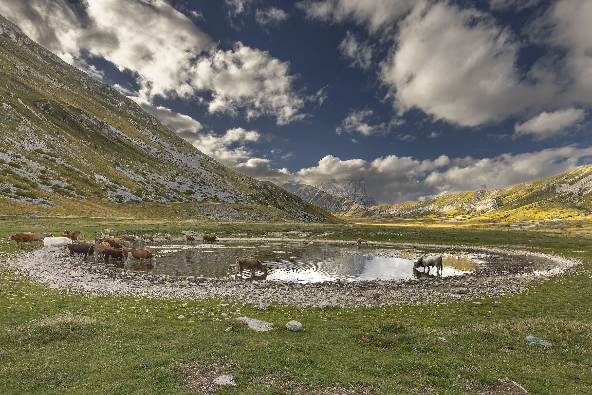Watering in Campo Imperatore