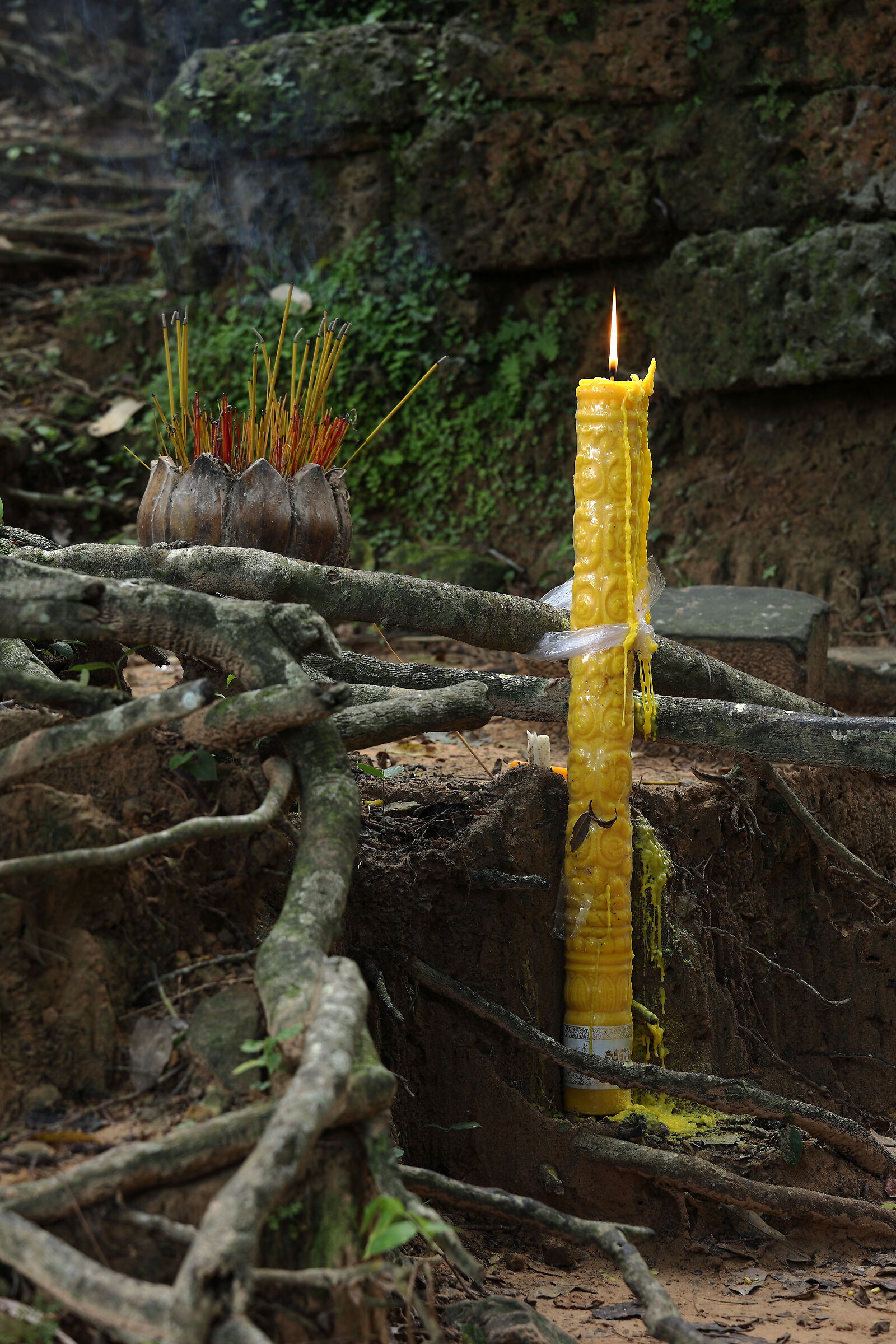 Gifts among the cultural roots