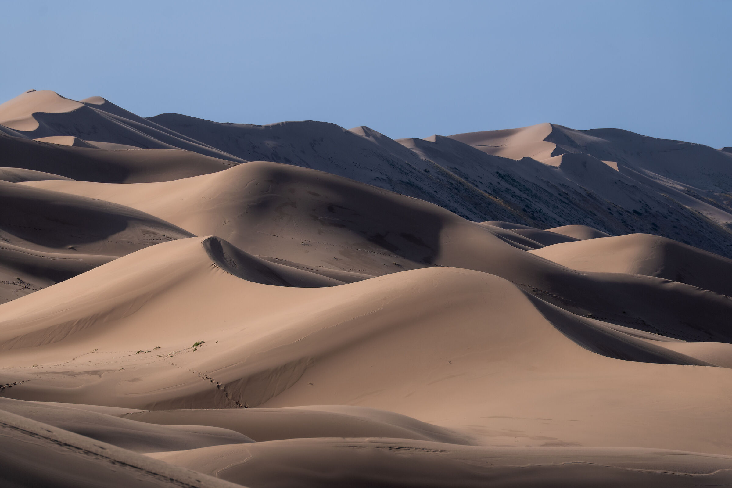 Gobi desert