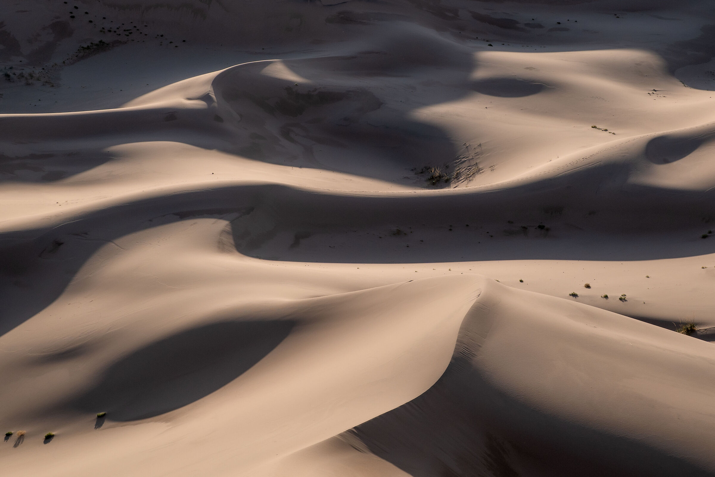 Gobi desert