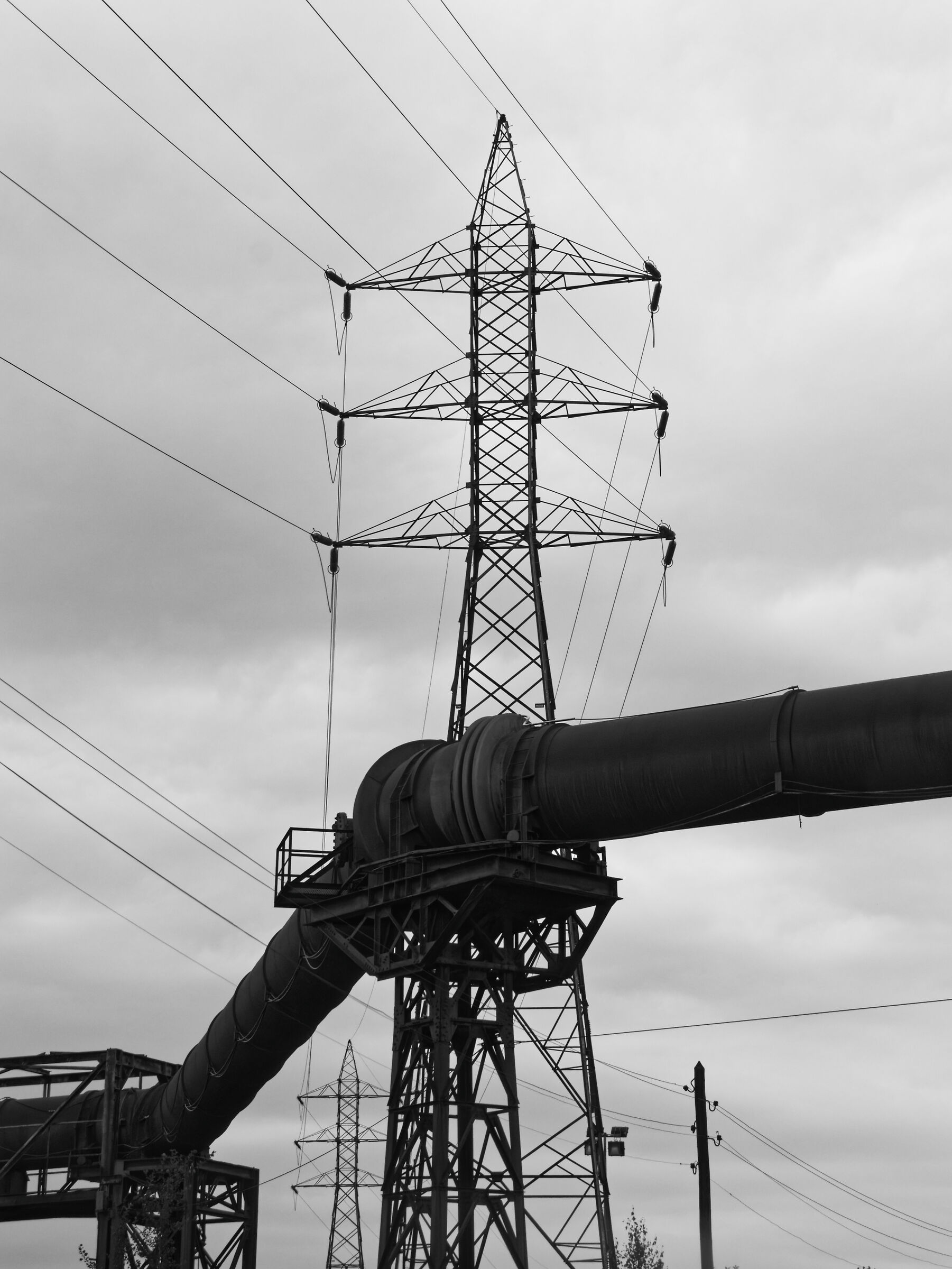 MARCINELLE_2015 (_DSC5524-1)