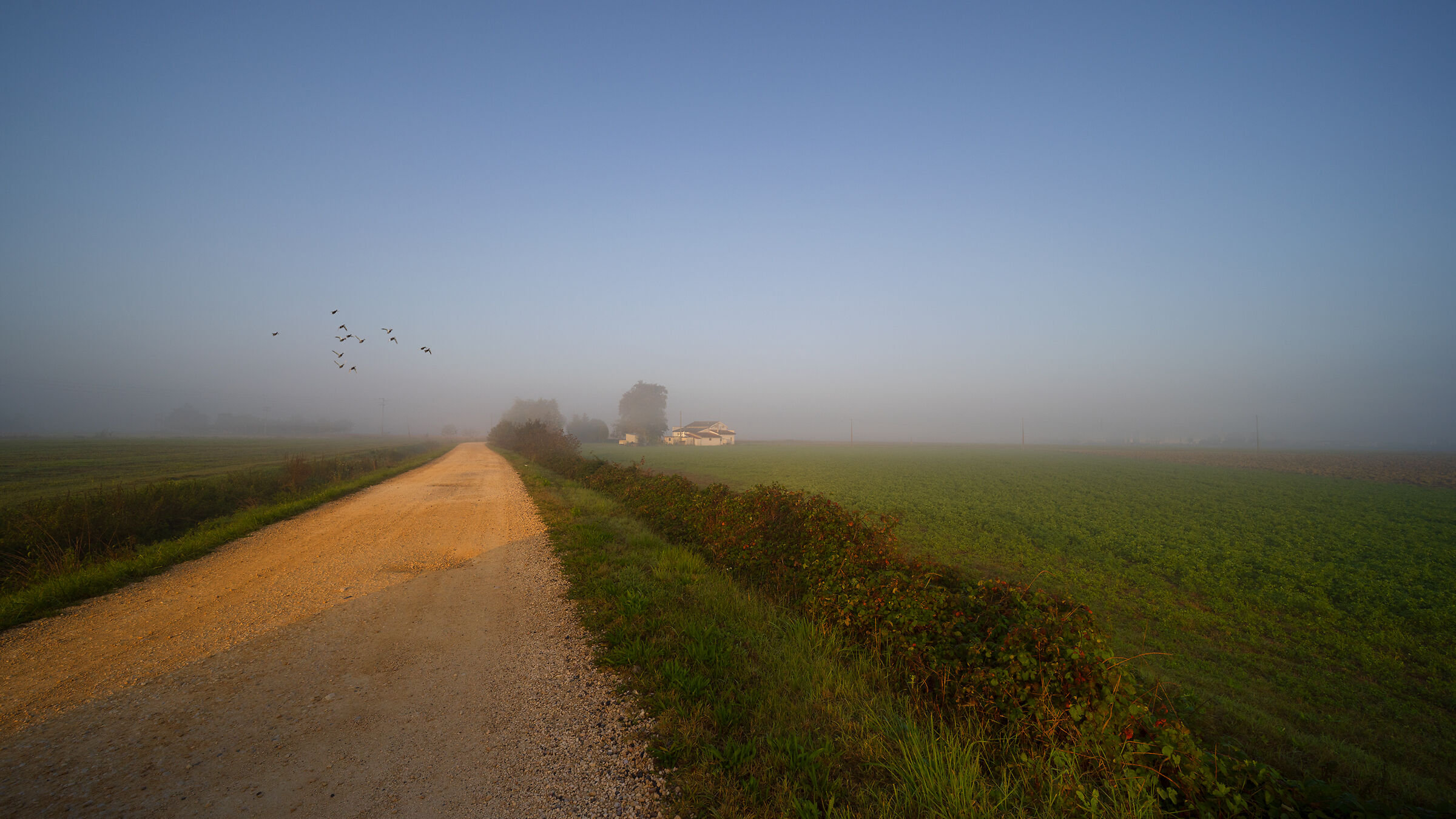 The first morning mists anticipate next autumn