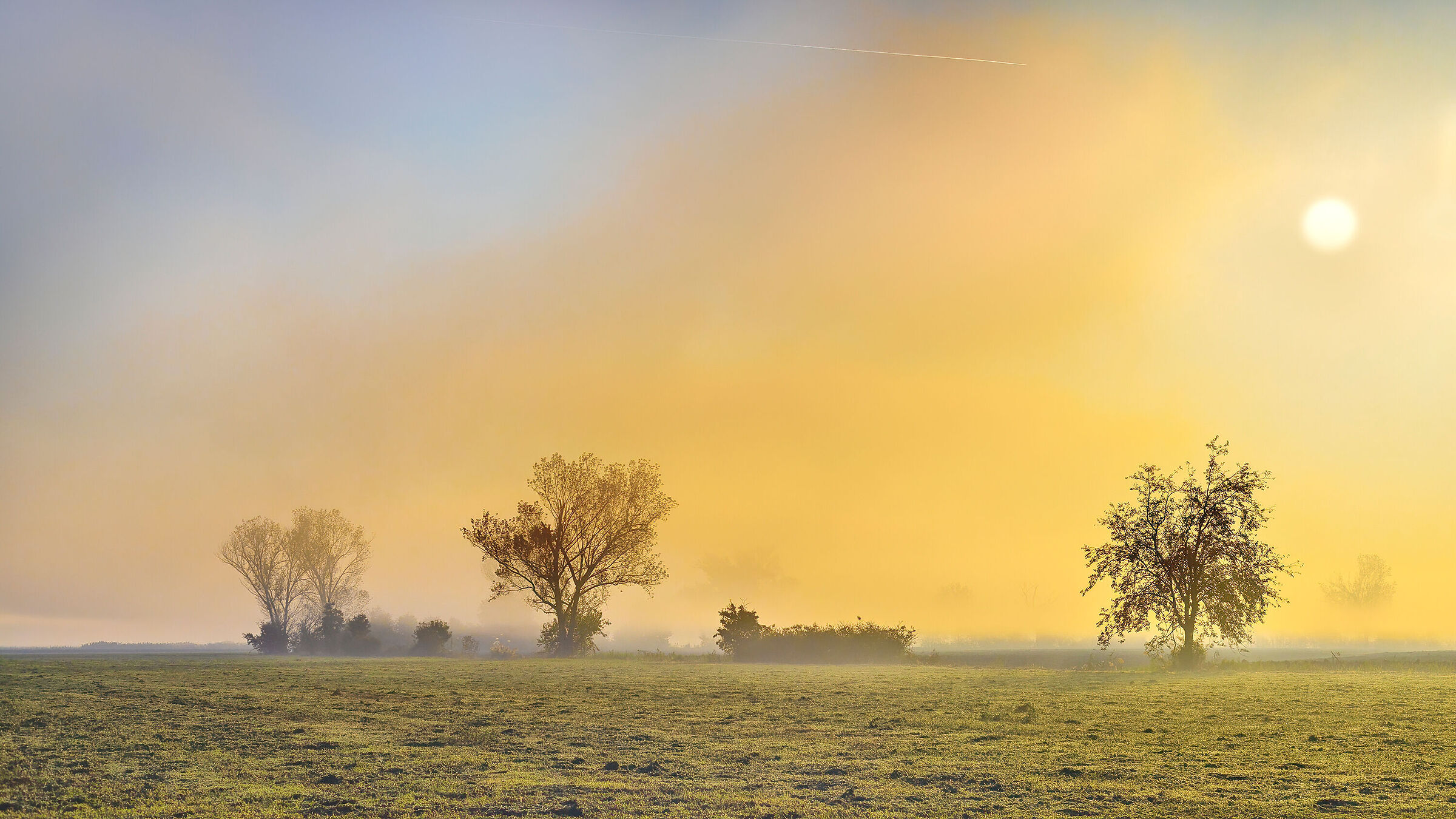 The first morning mists anticipate next autumn