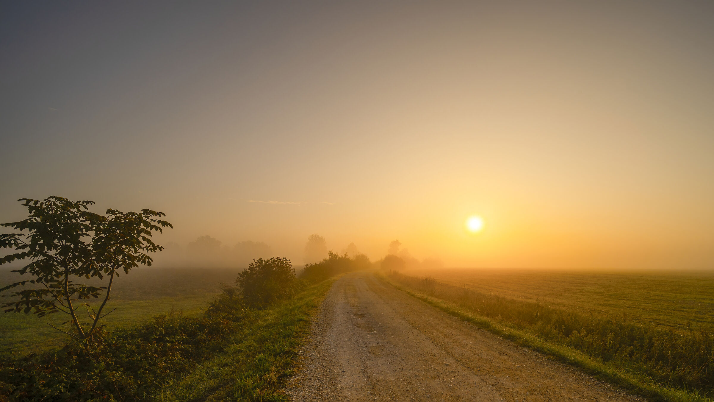 The first morning mists anticipate next autumn