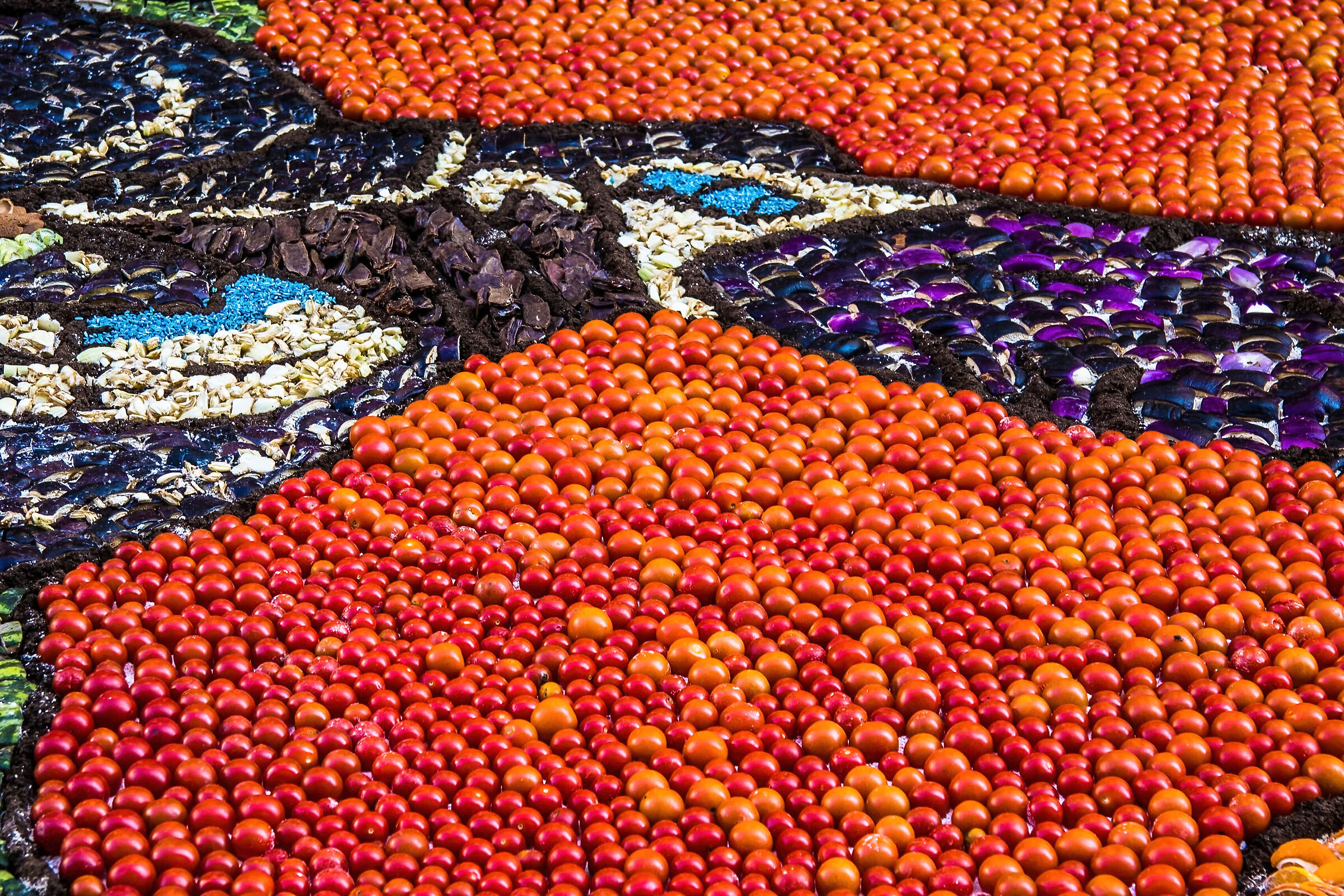 I colori dell'inverdurata