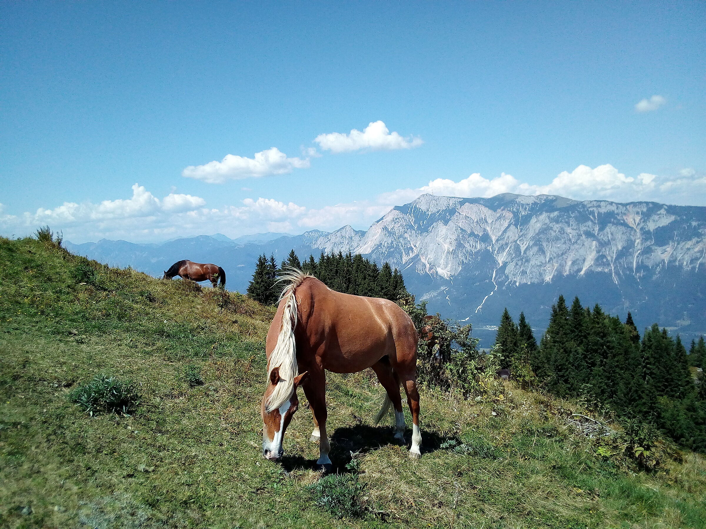 Horizons of presumed peace