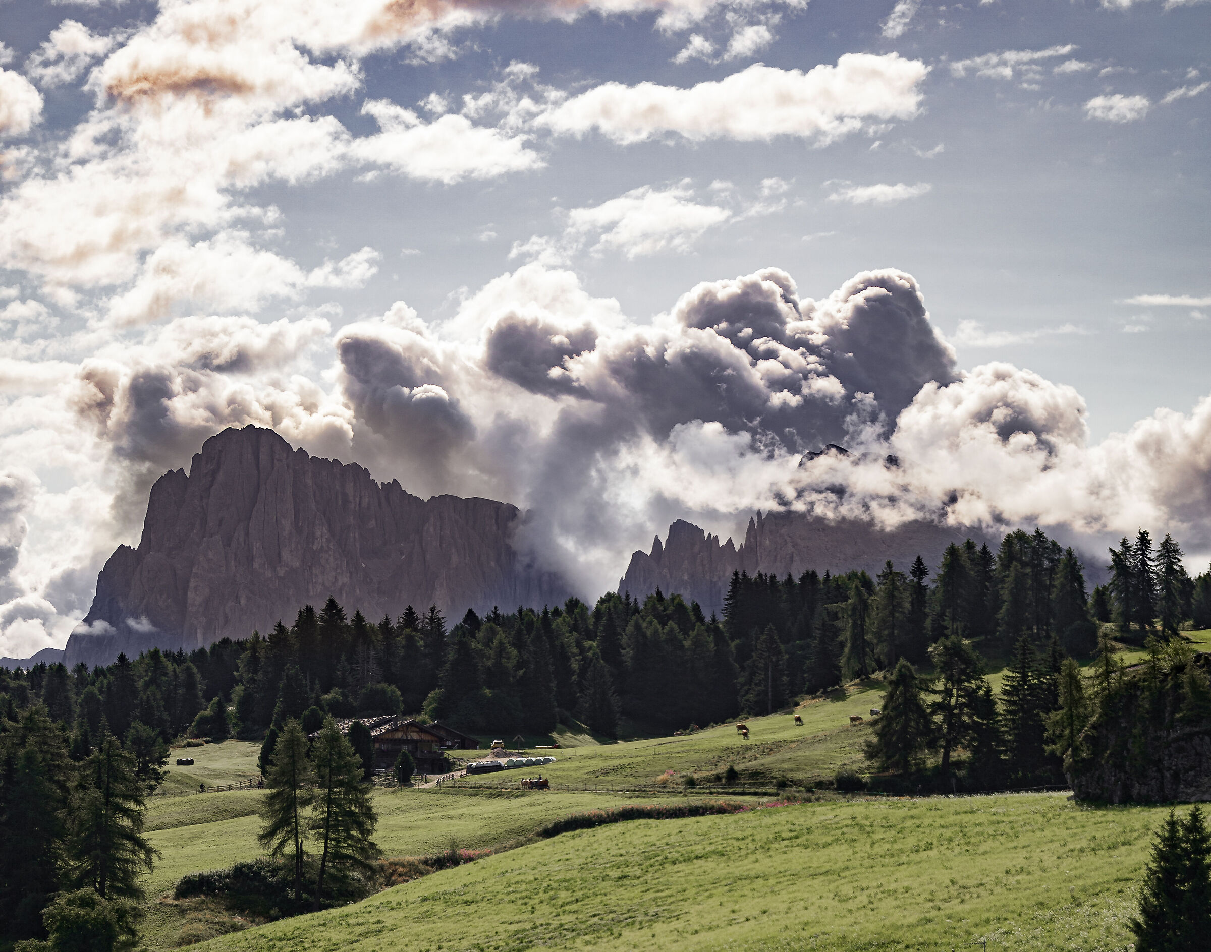 Alpe di Siusi