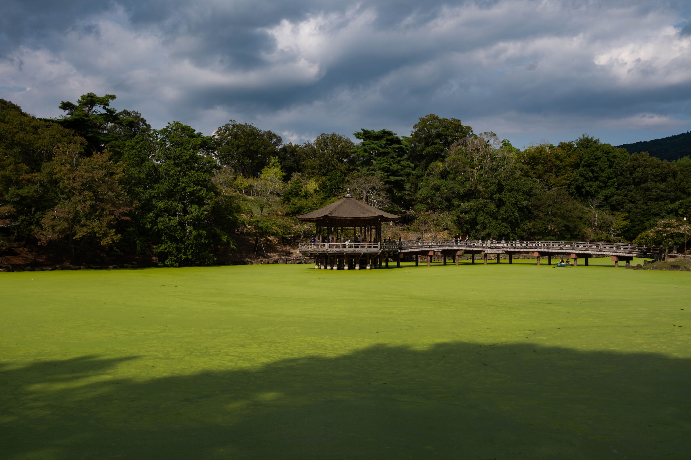 Kyoto Pond