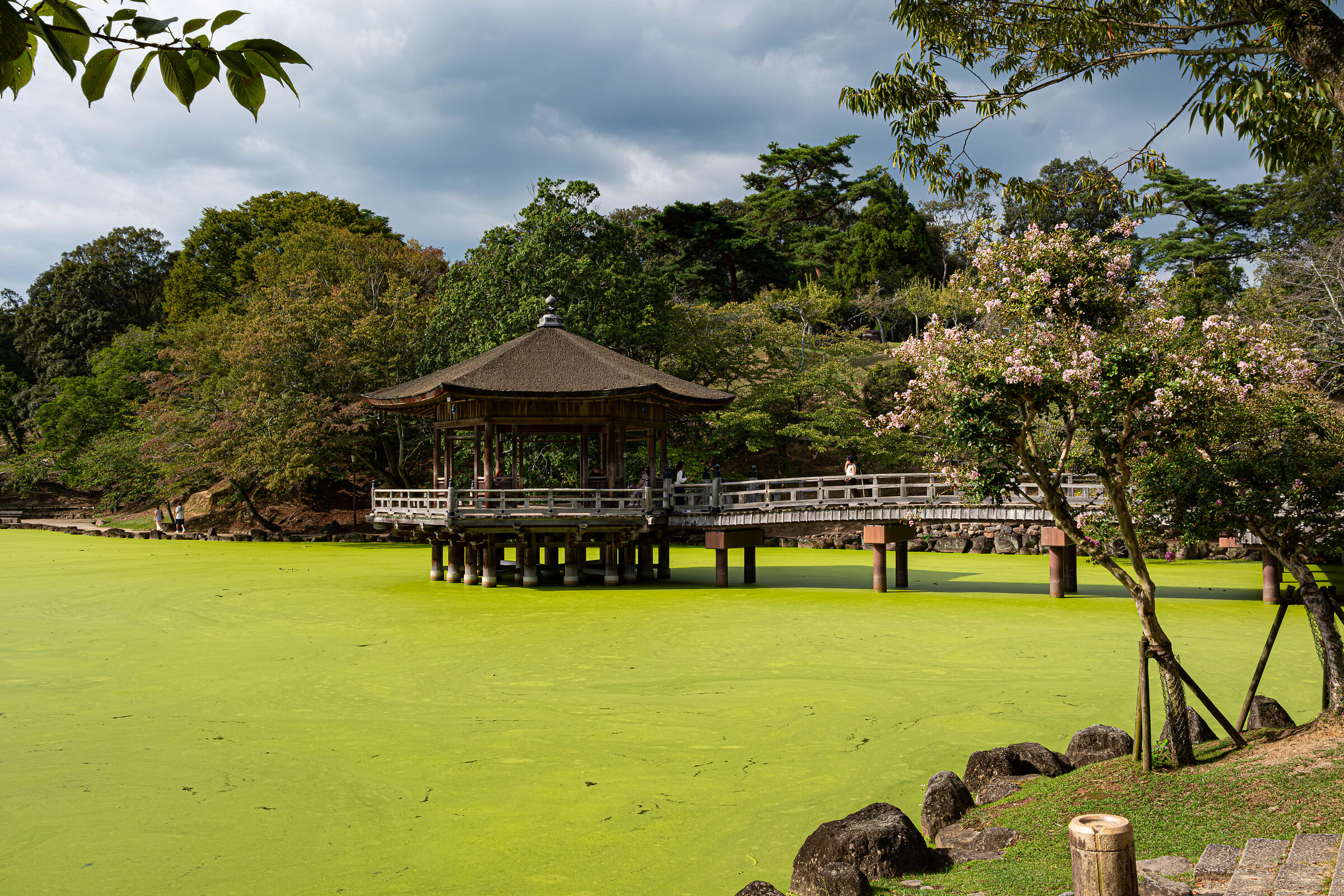 Kyoto Pond