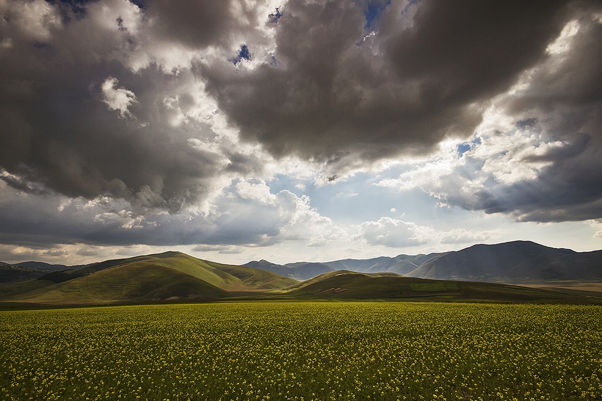 the calm before the storm