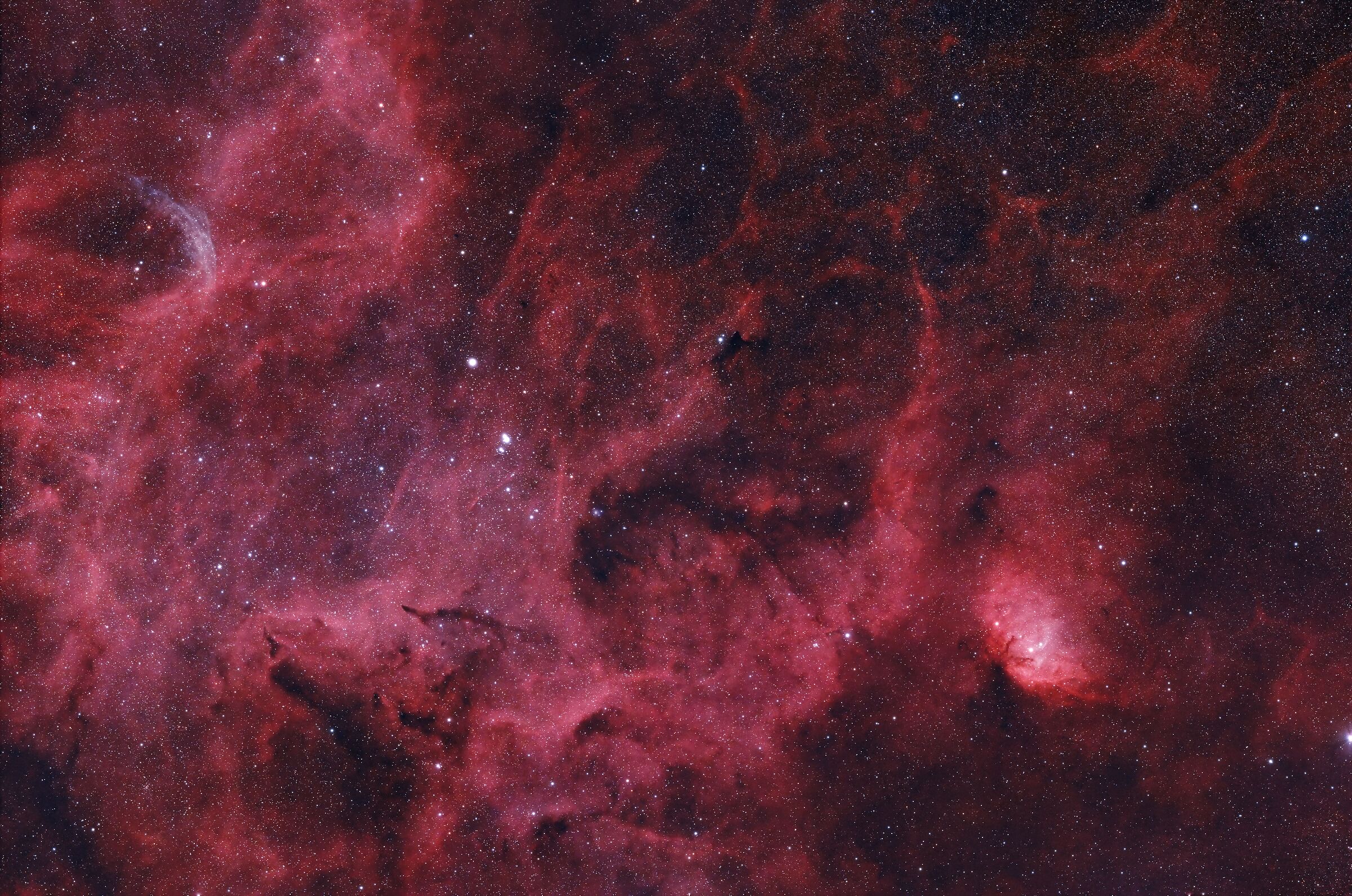 Sh2-101, la Nebulosa Tulipano a largo campo