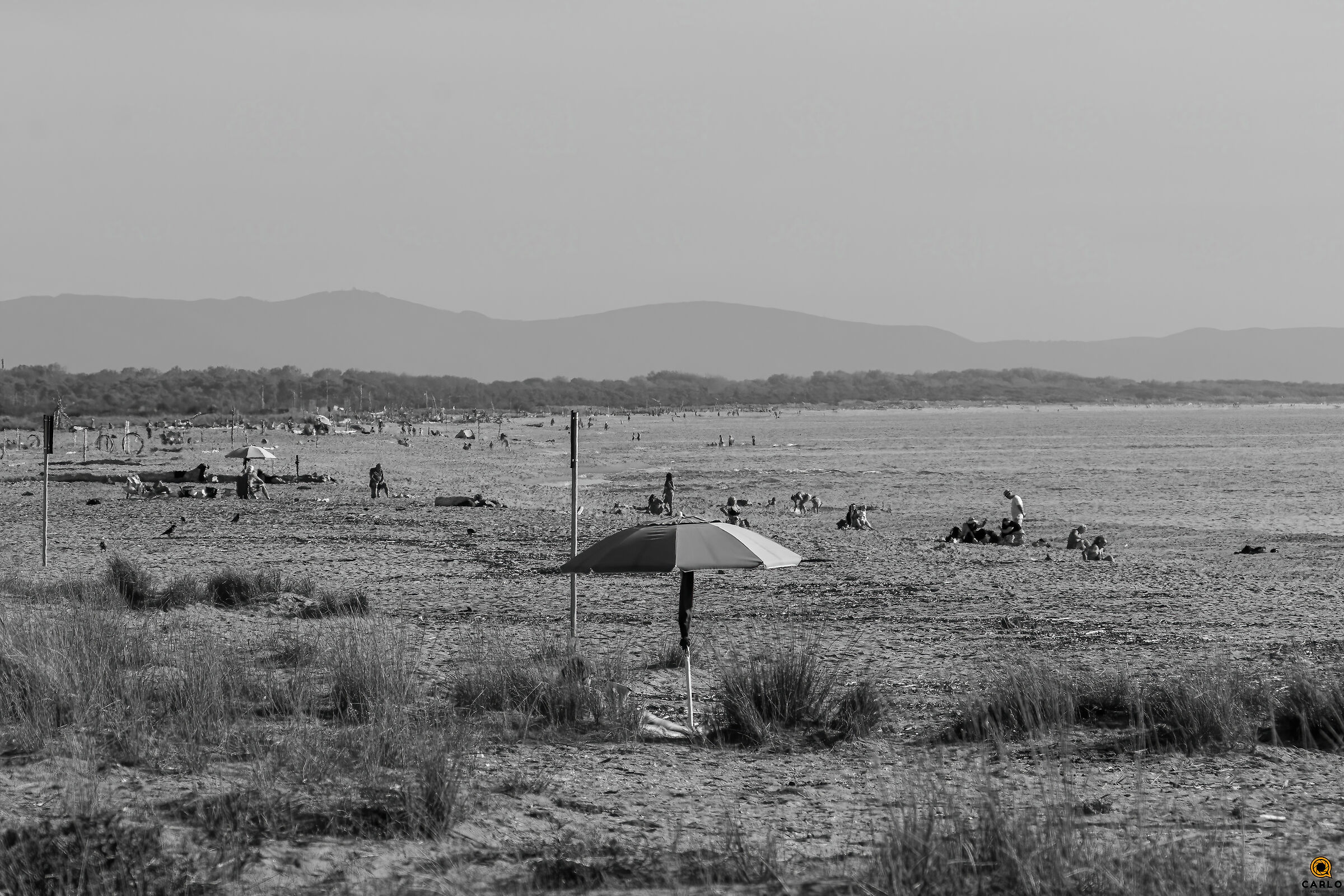 Viareggio La Lecciona