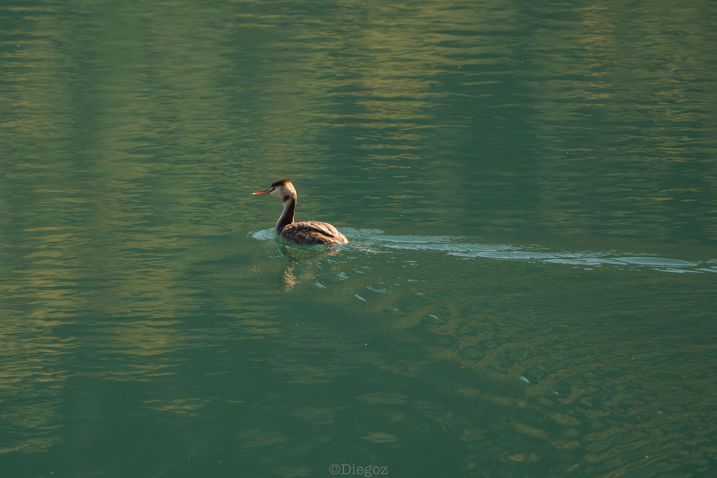 Untitled Photo