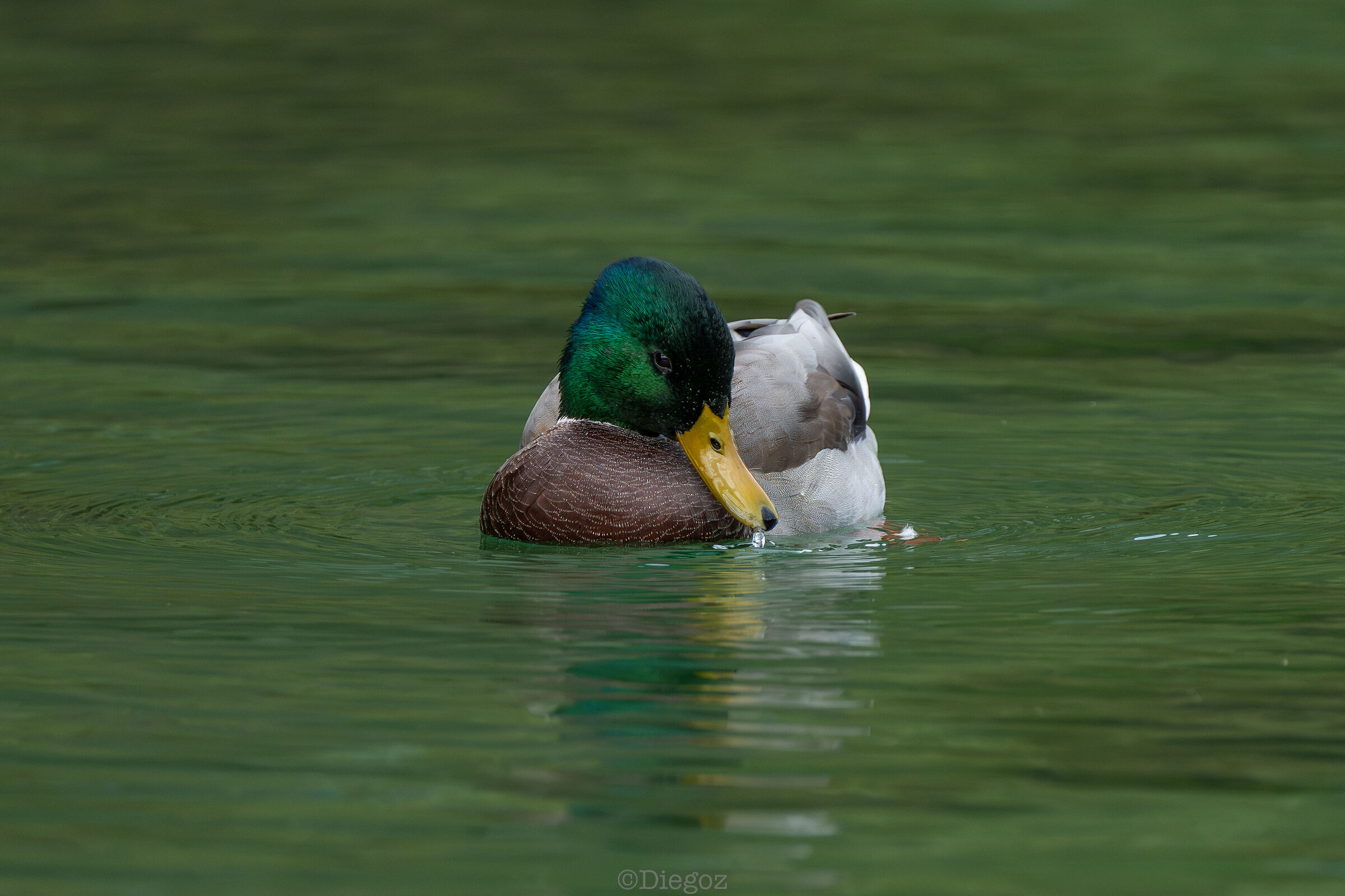 Untitled Photo