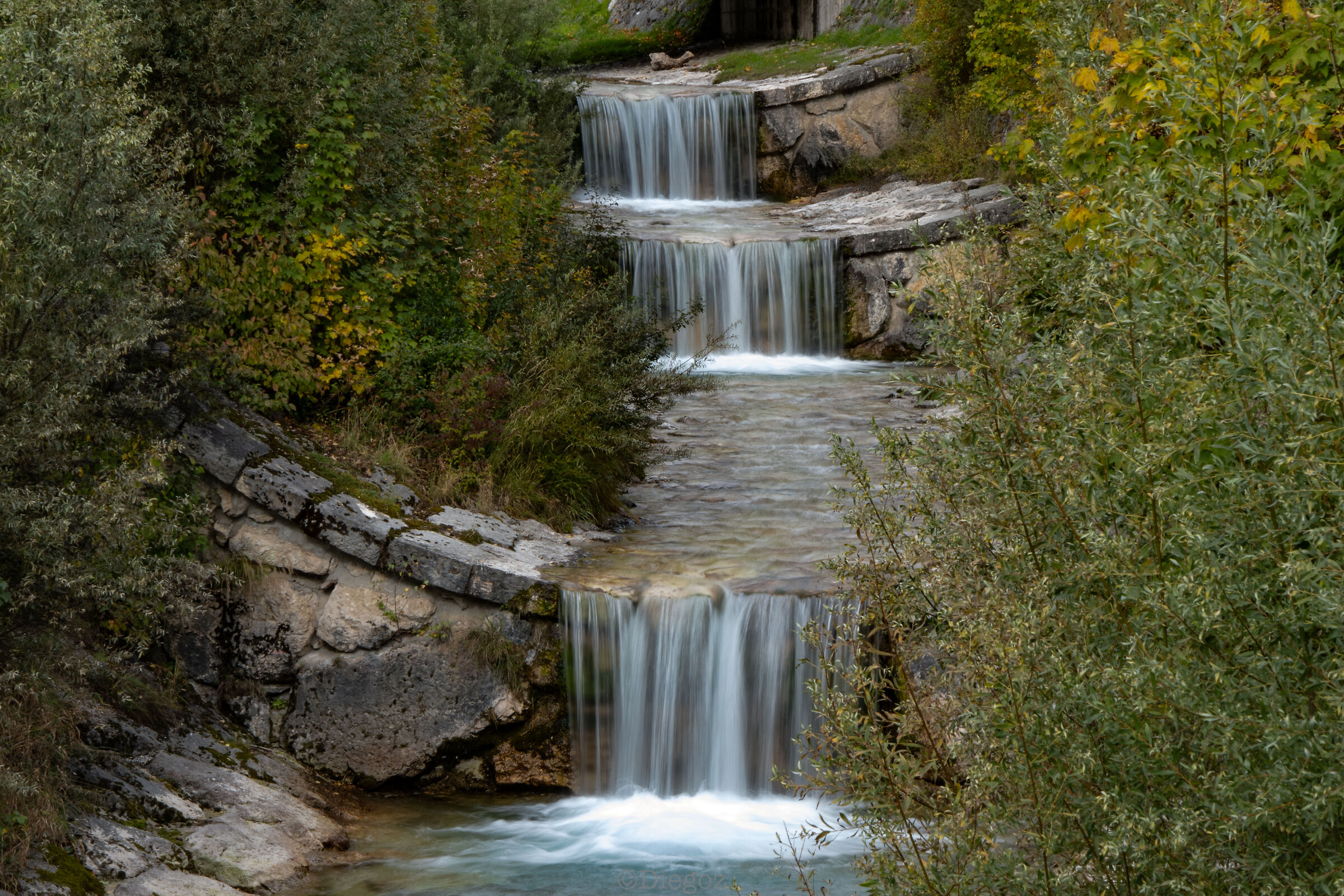Untitled Photo