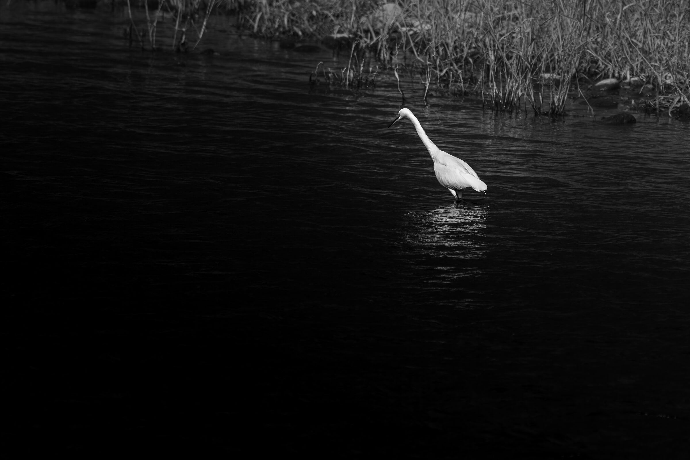 Giocando con la luce