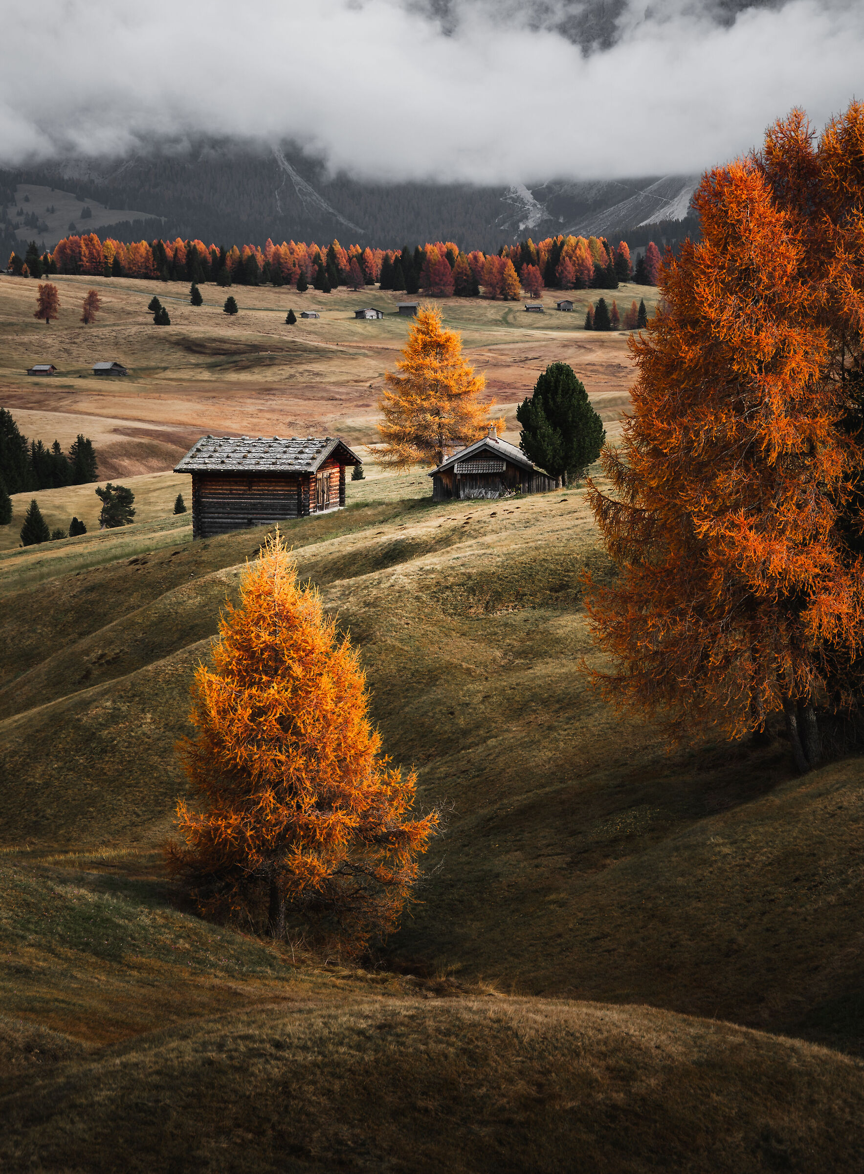 Alpe di Siusi in autumn