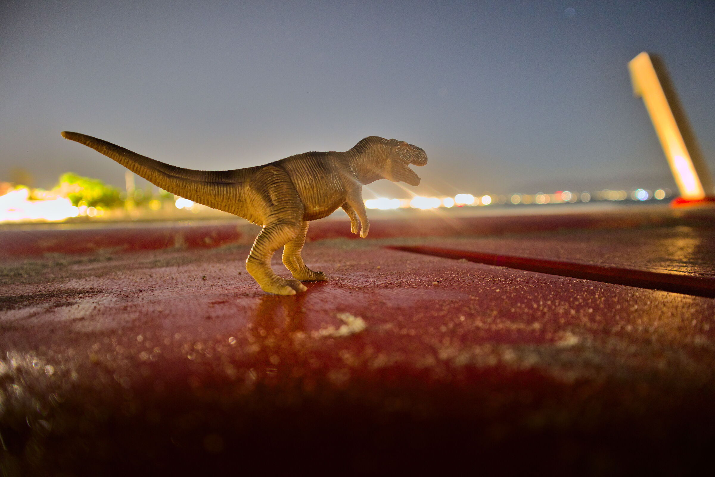 Incontro inaspettato