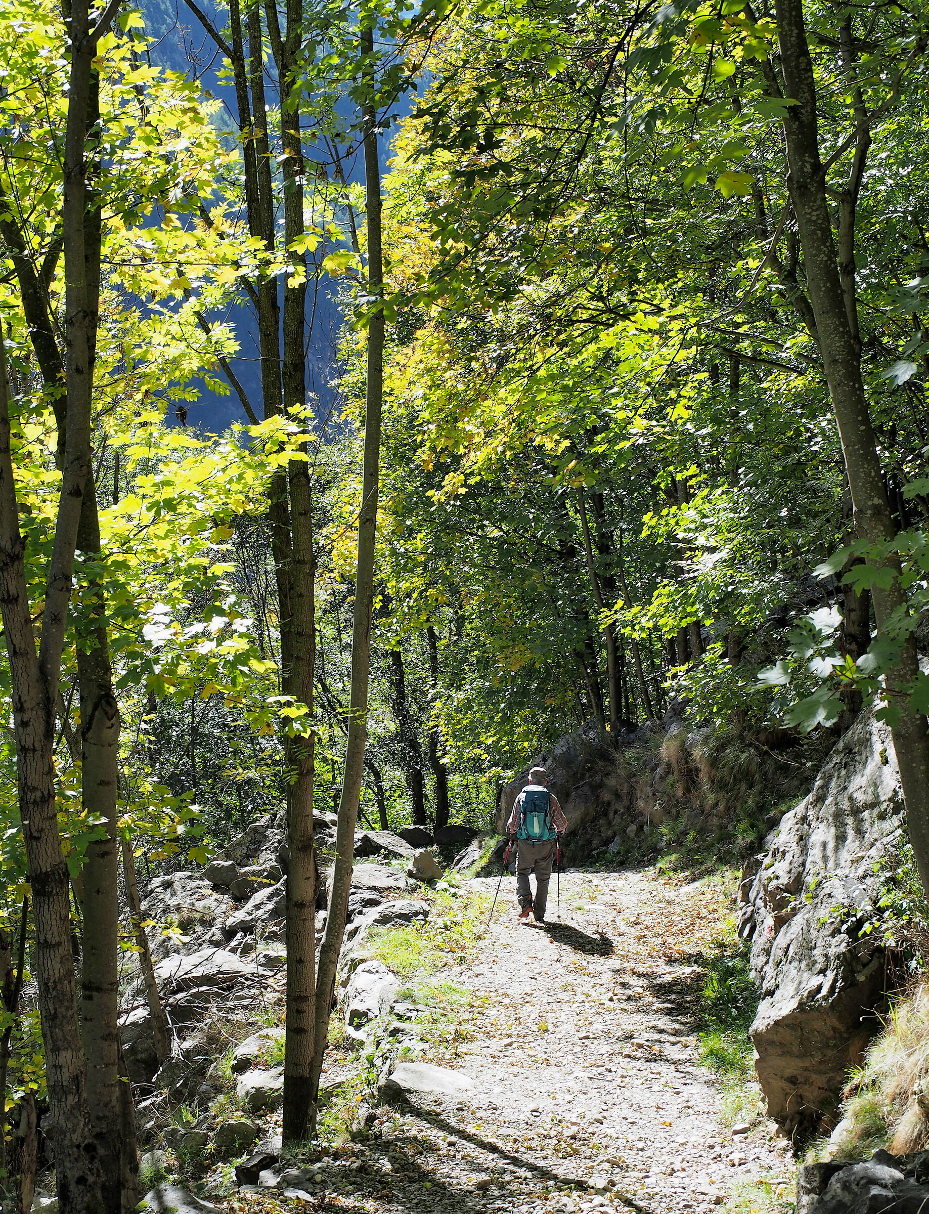 Passeggiata autunnale