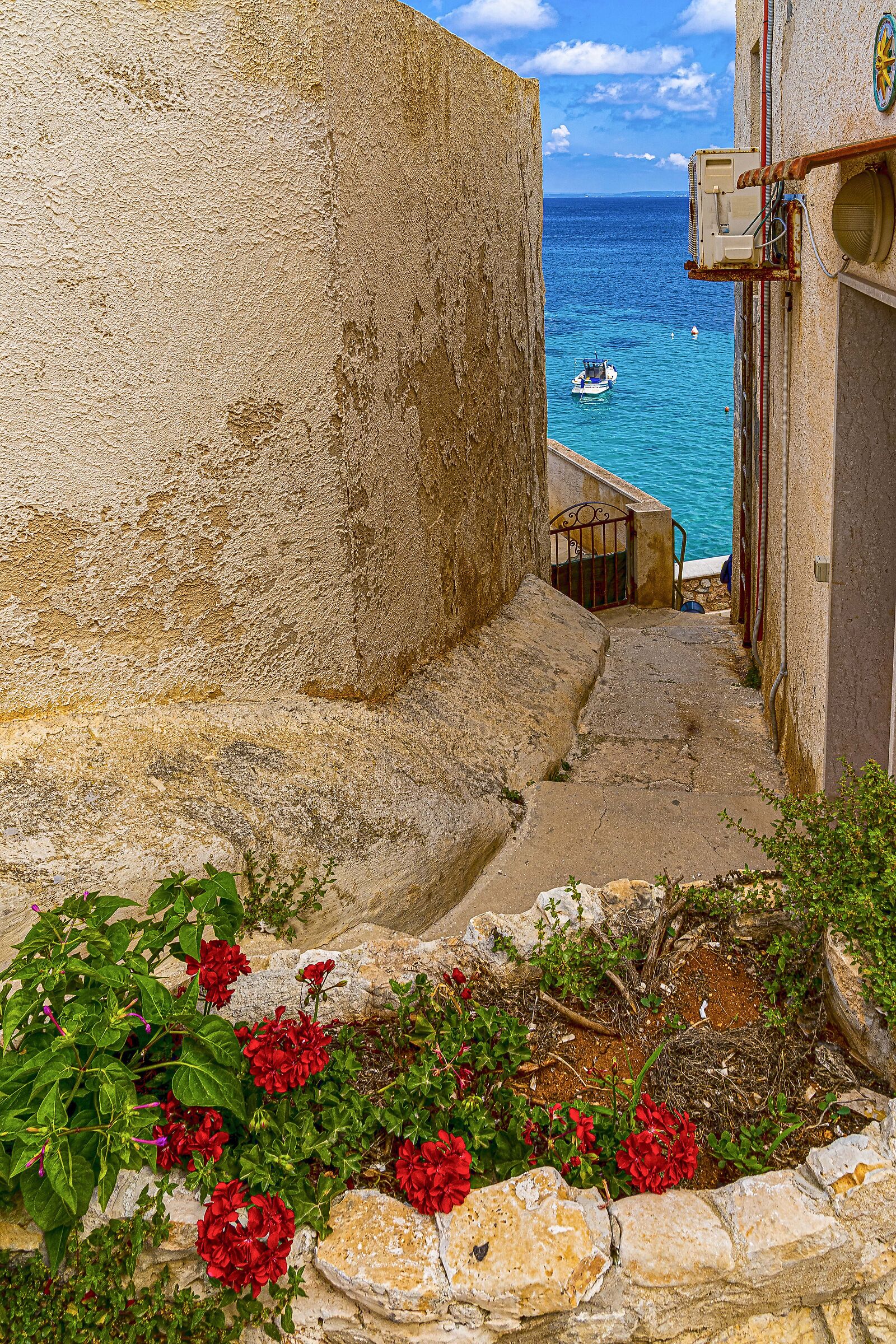 Favignana glimpse 5