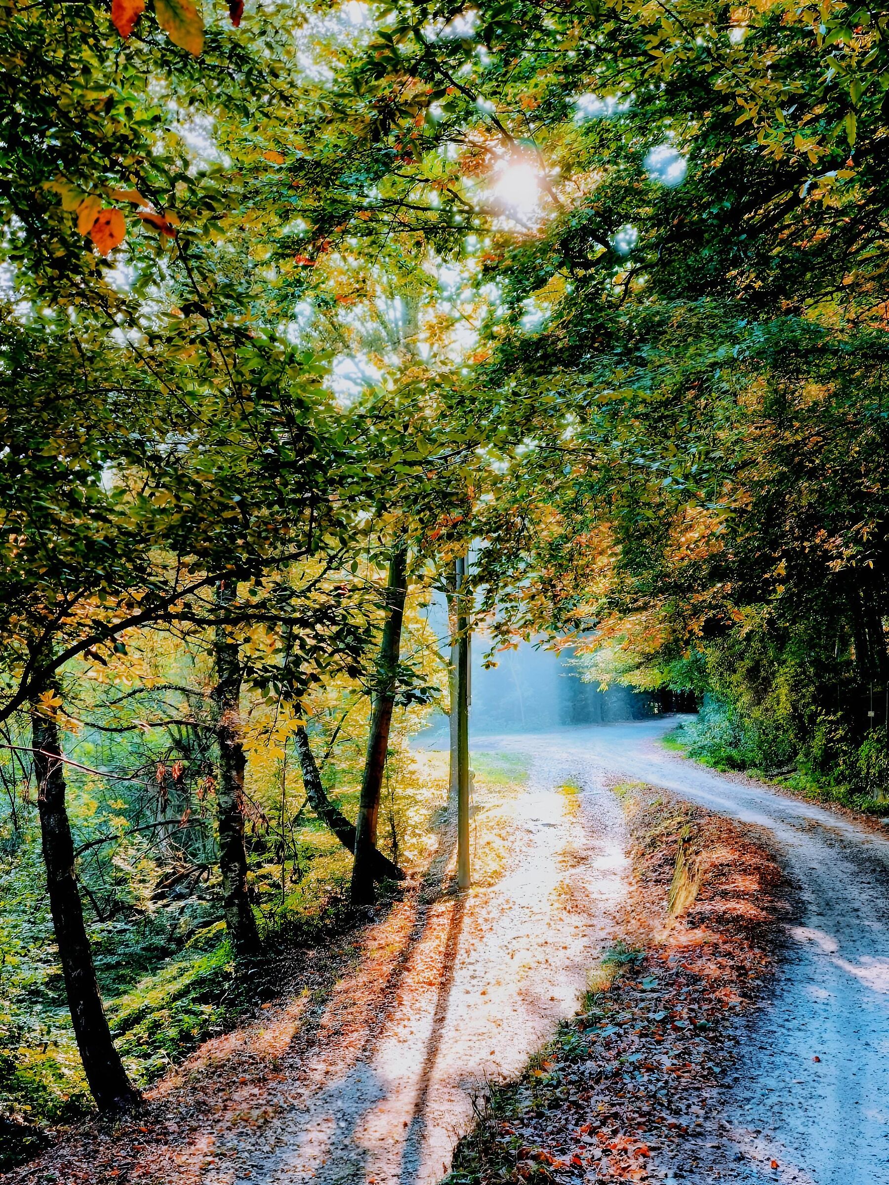Untitled Photo