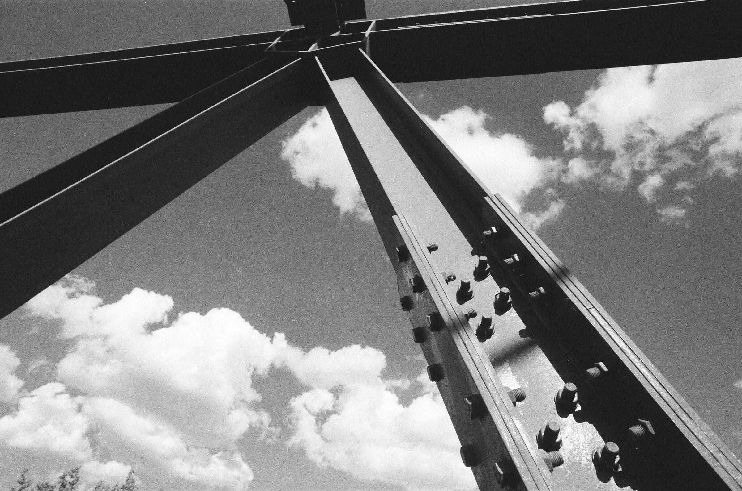 Parco Nord Milano, 2025