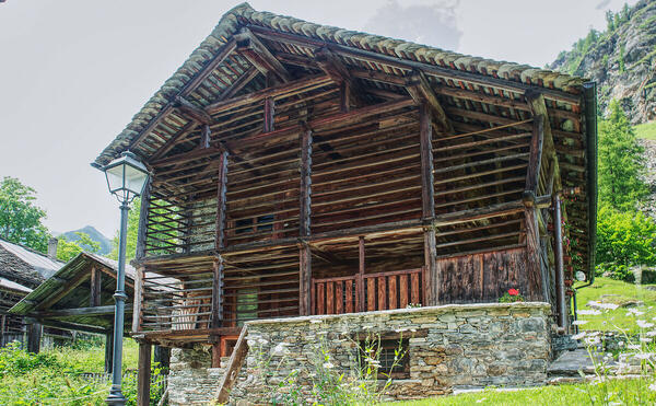 Foto