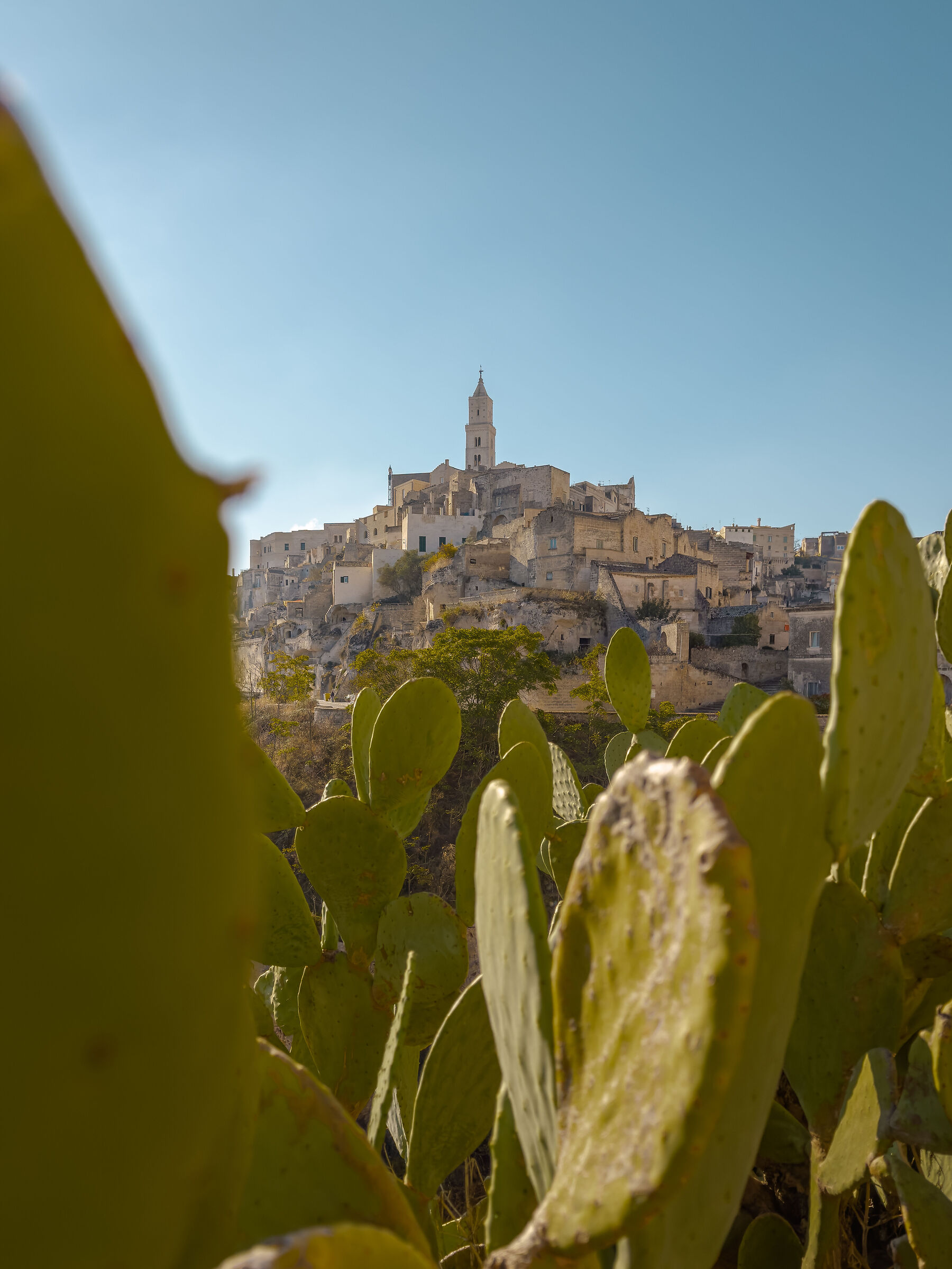 Matera