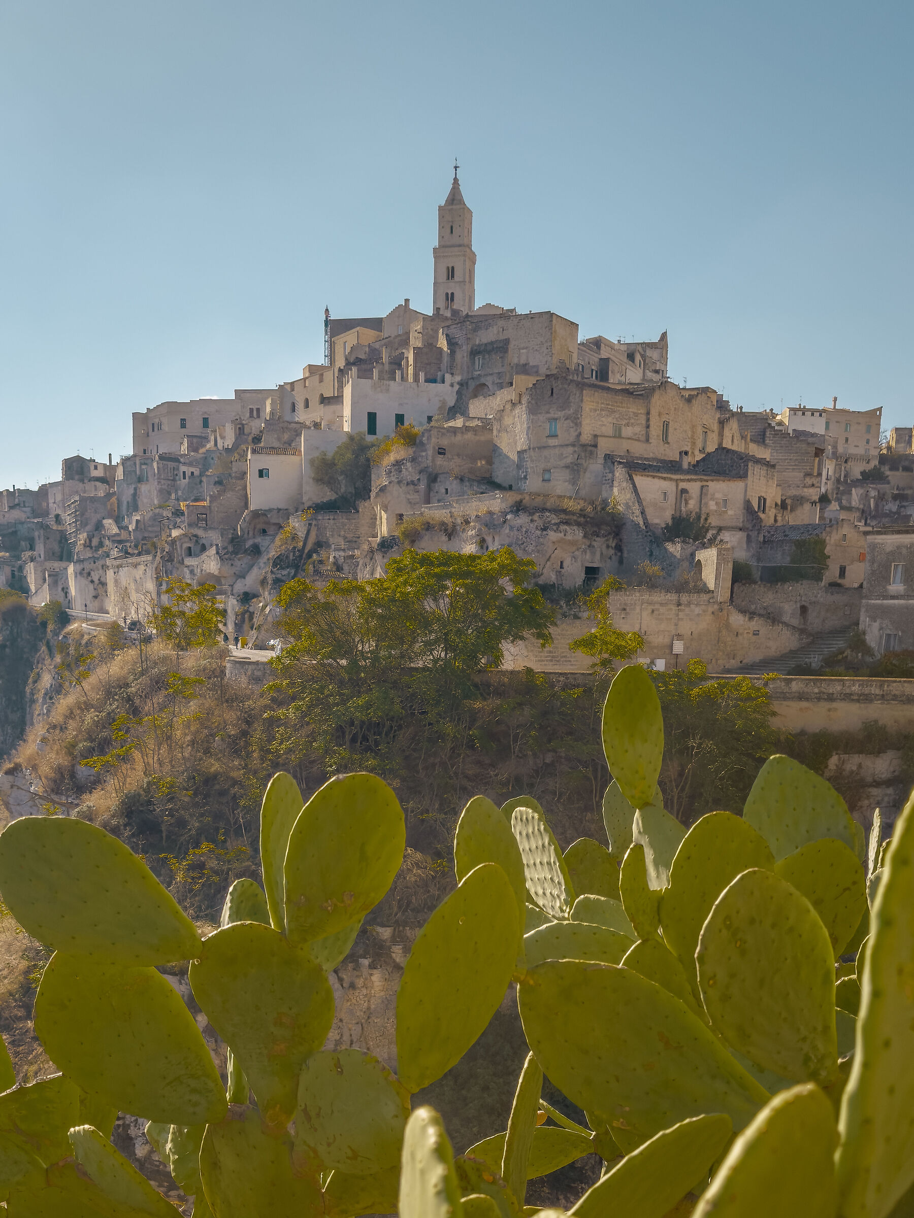 Matera
