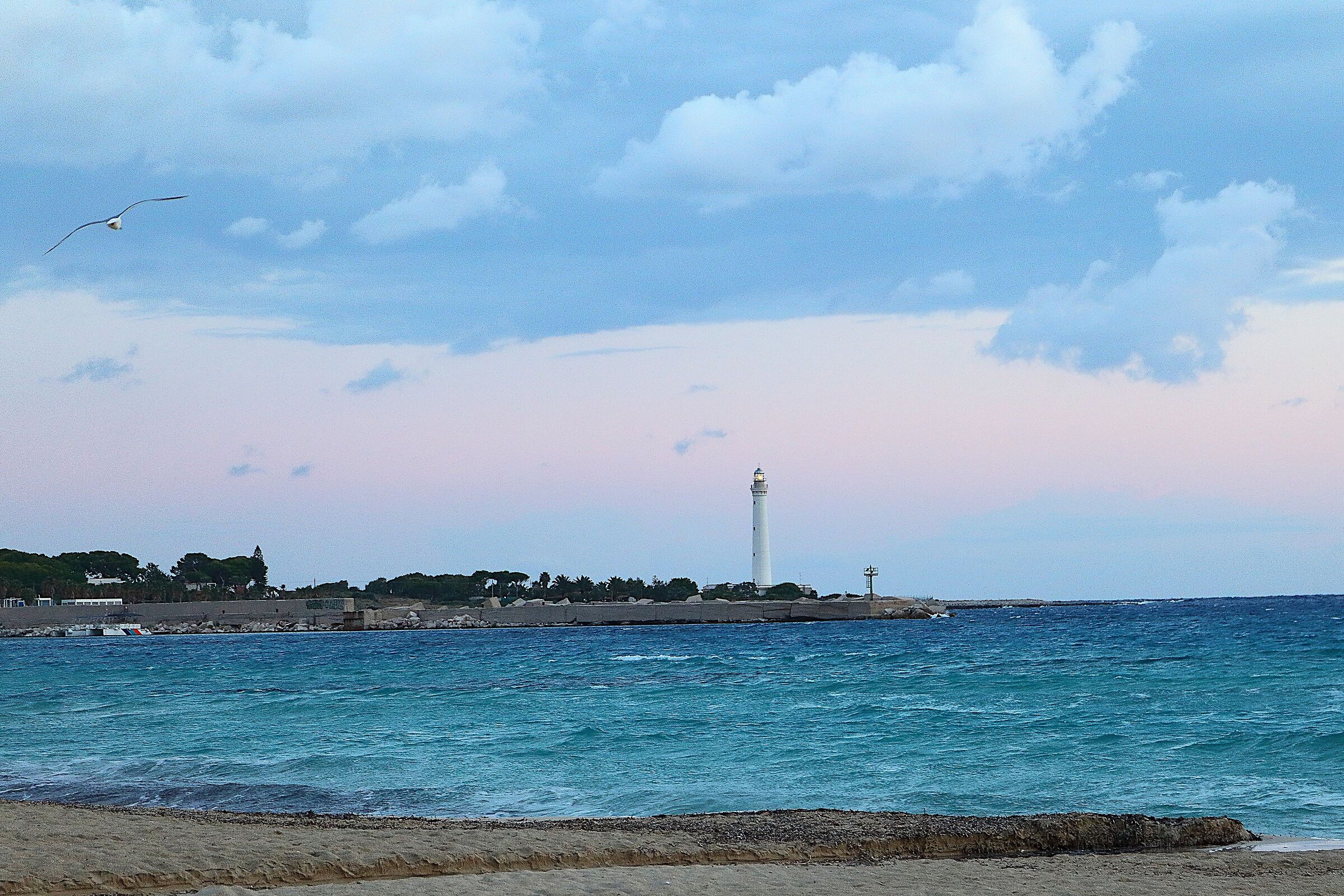 Il faro 02 ottobre 2025 - 0002