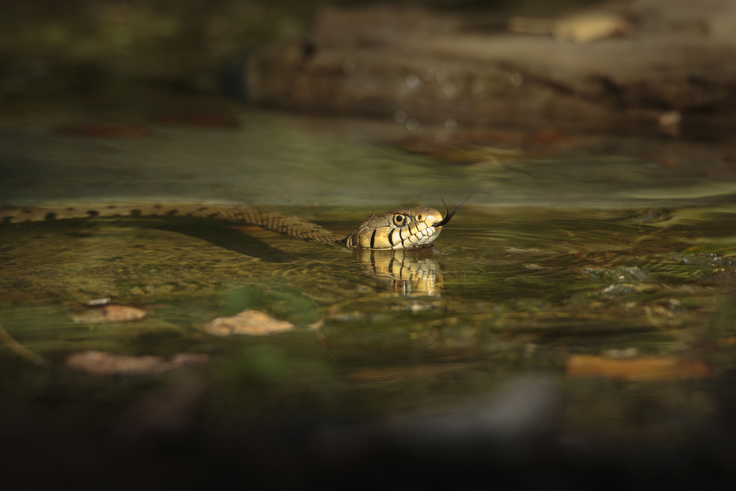 Soaking