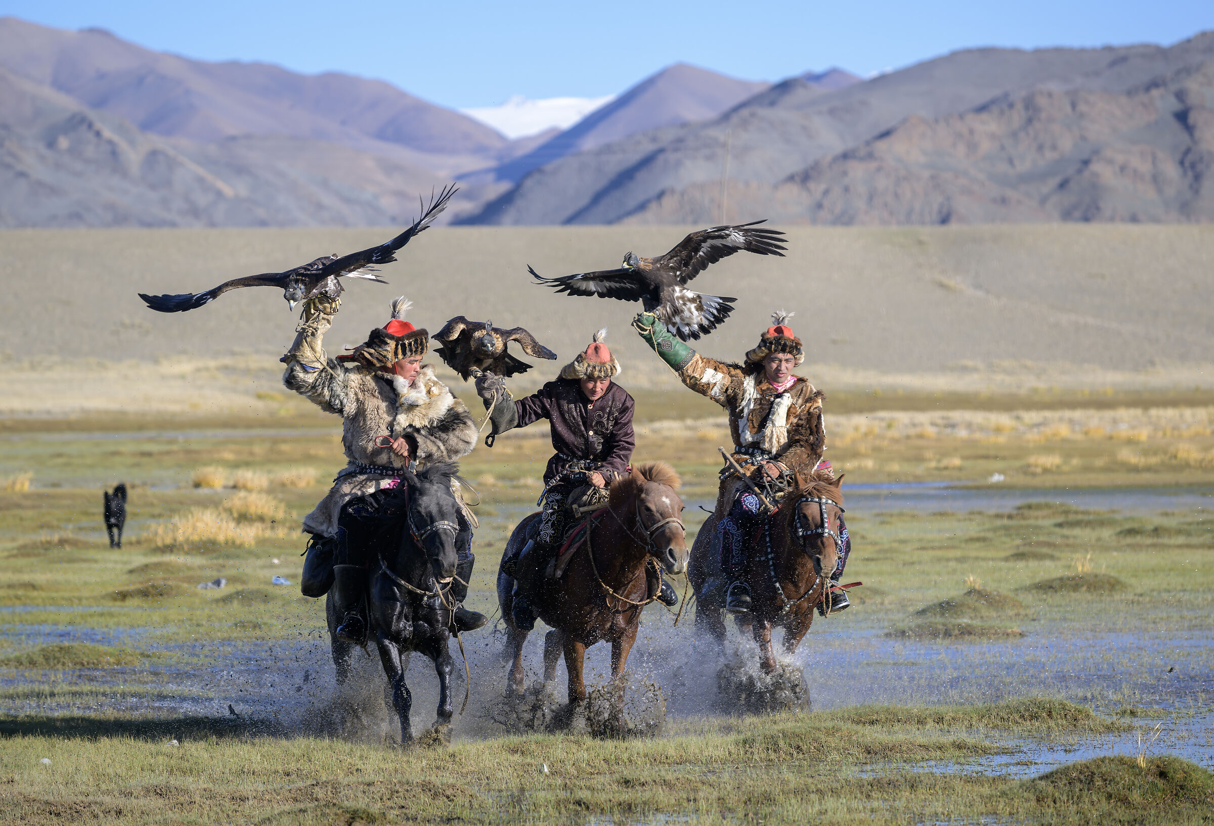 Eagle hunters