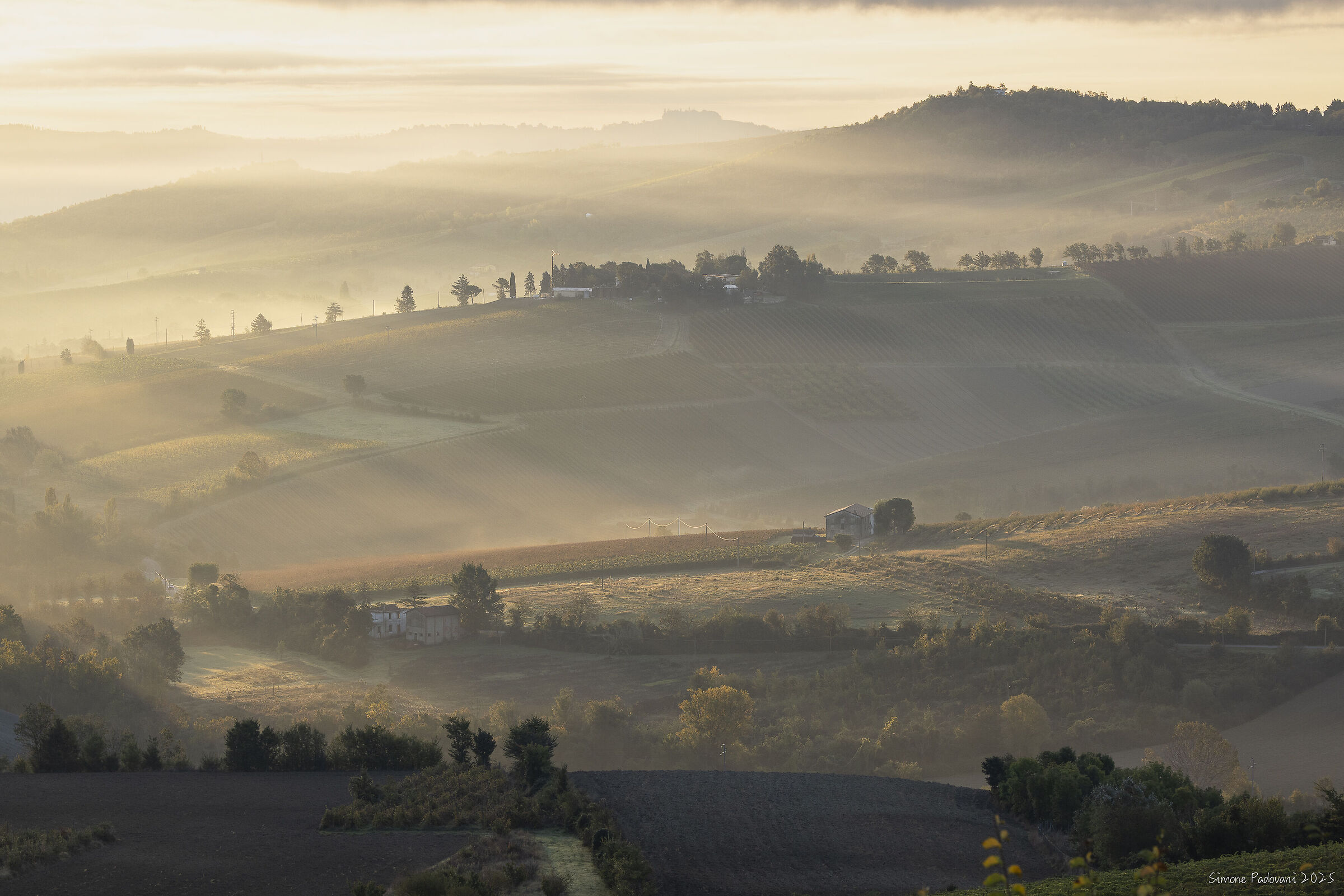 La Bruma sui campi - Pieve di Sant'Andrea - Imola (bo)
