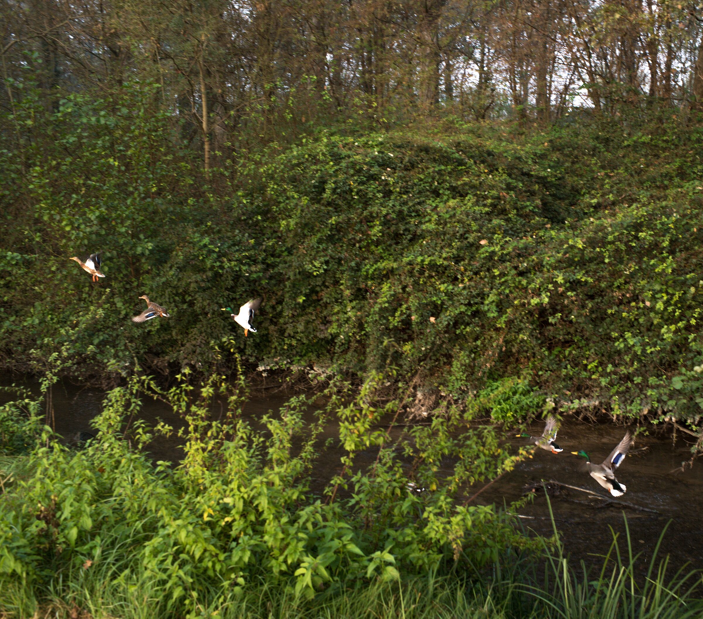 Niente foto per favore