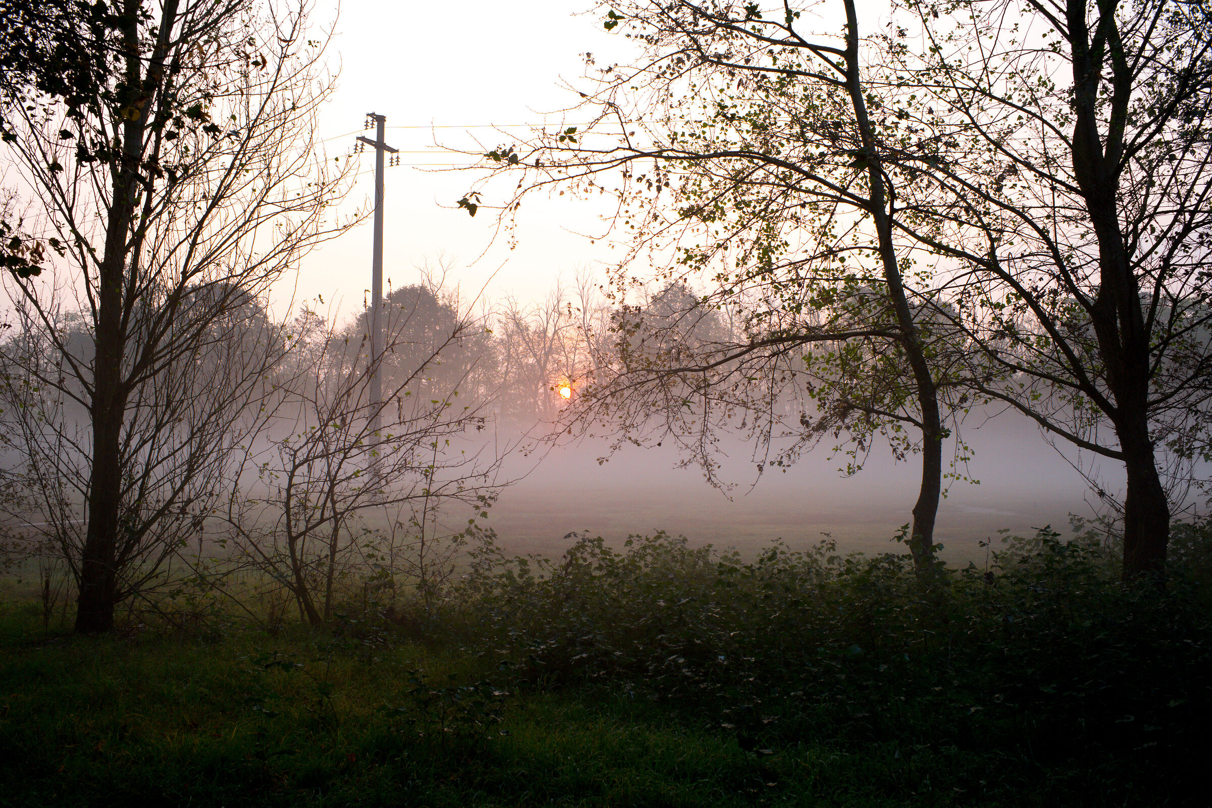 Mentre cammini nel parco sorge il sole