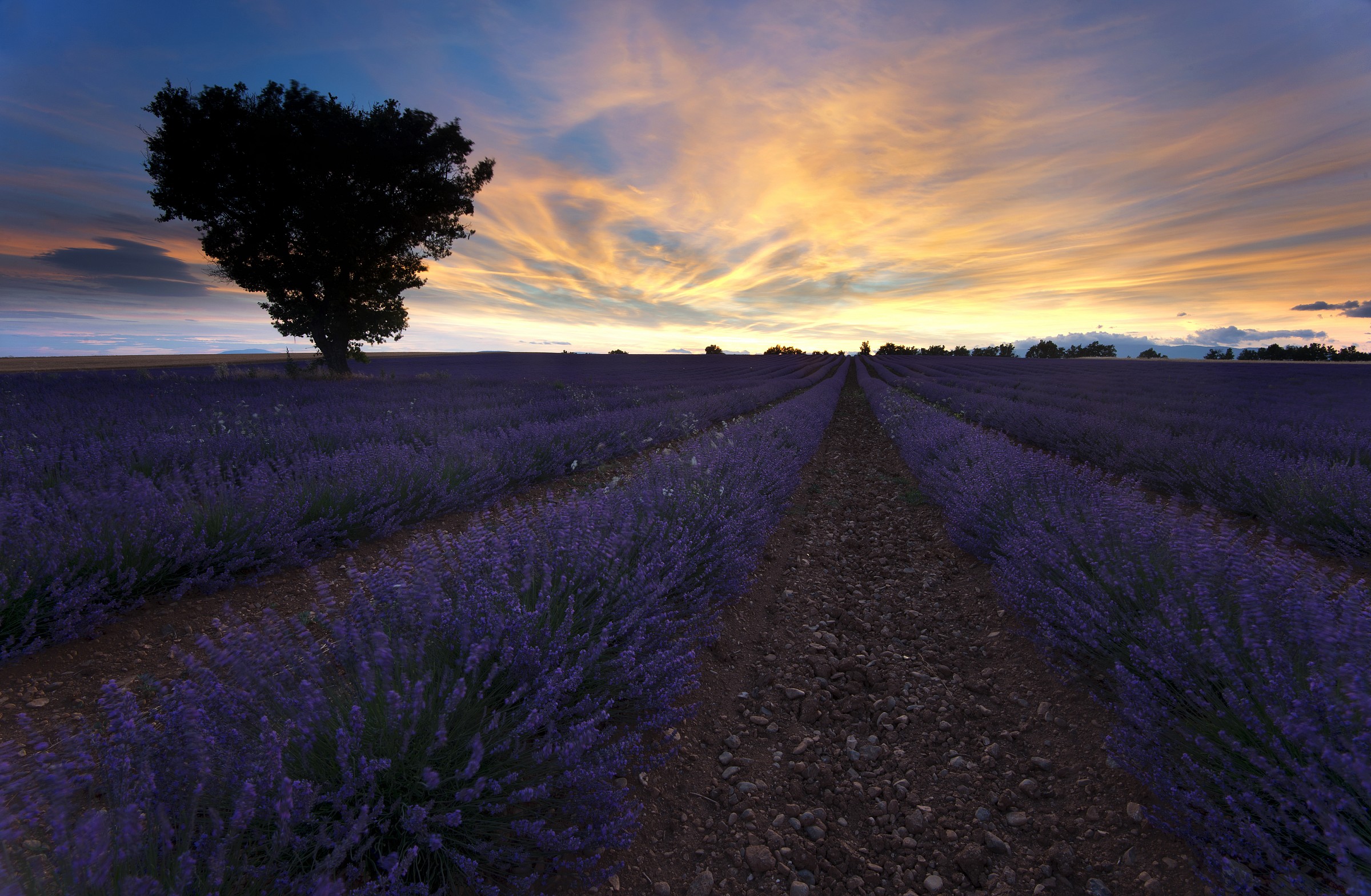 Plateau de Valensole