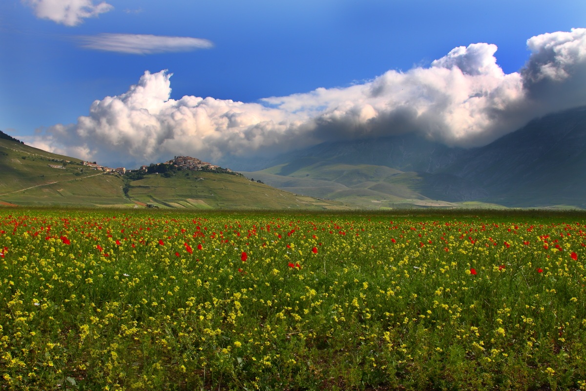 Castelluccio di Norcia ...