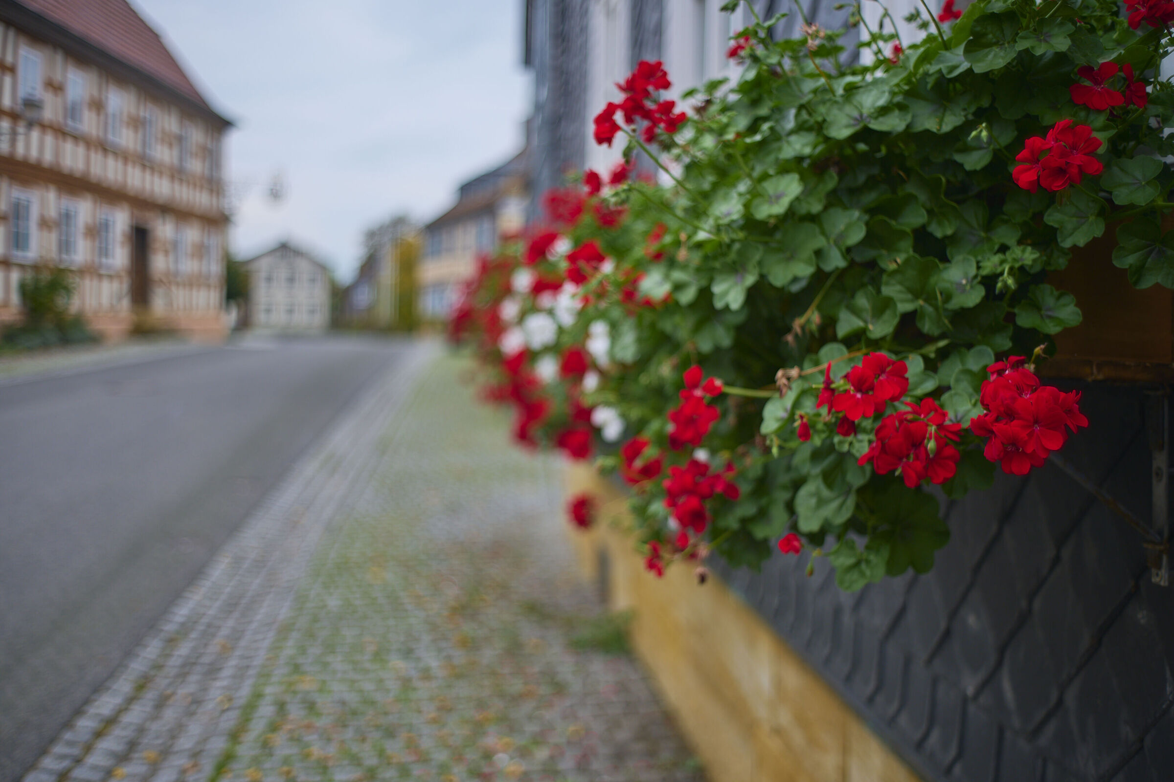Villaggio tra Bamberg e Coburgo