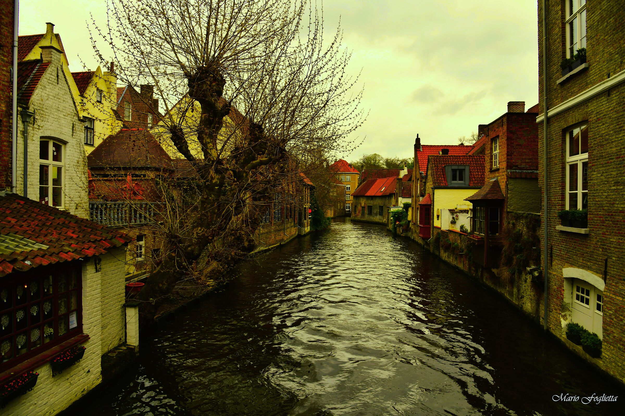 Magical Bruges