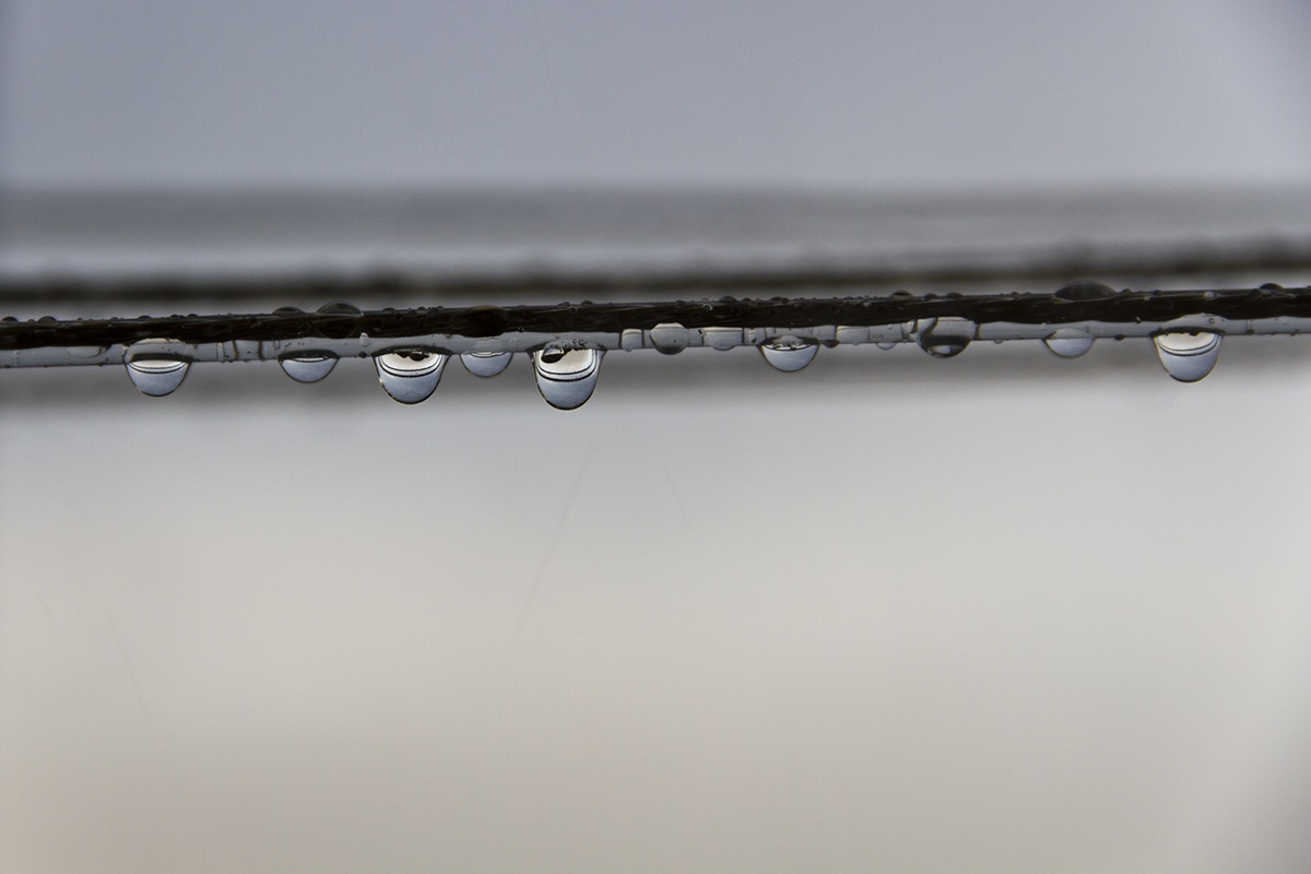 Playing during the storm ...
