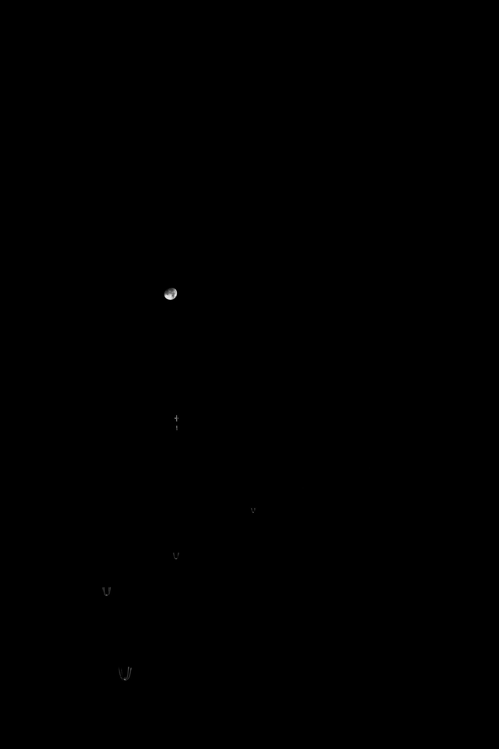 Alignment