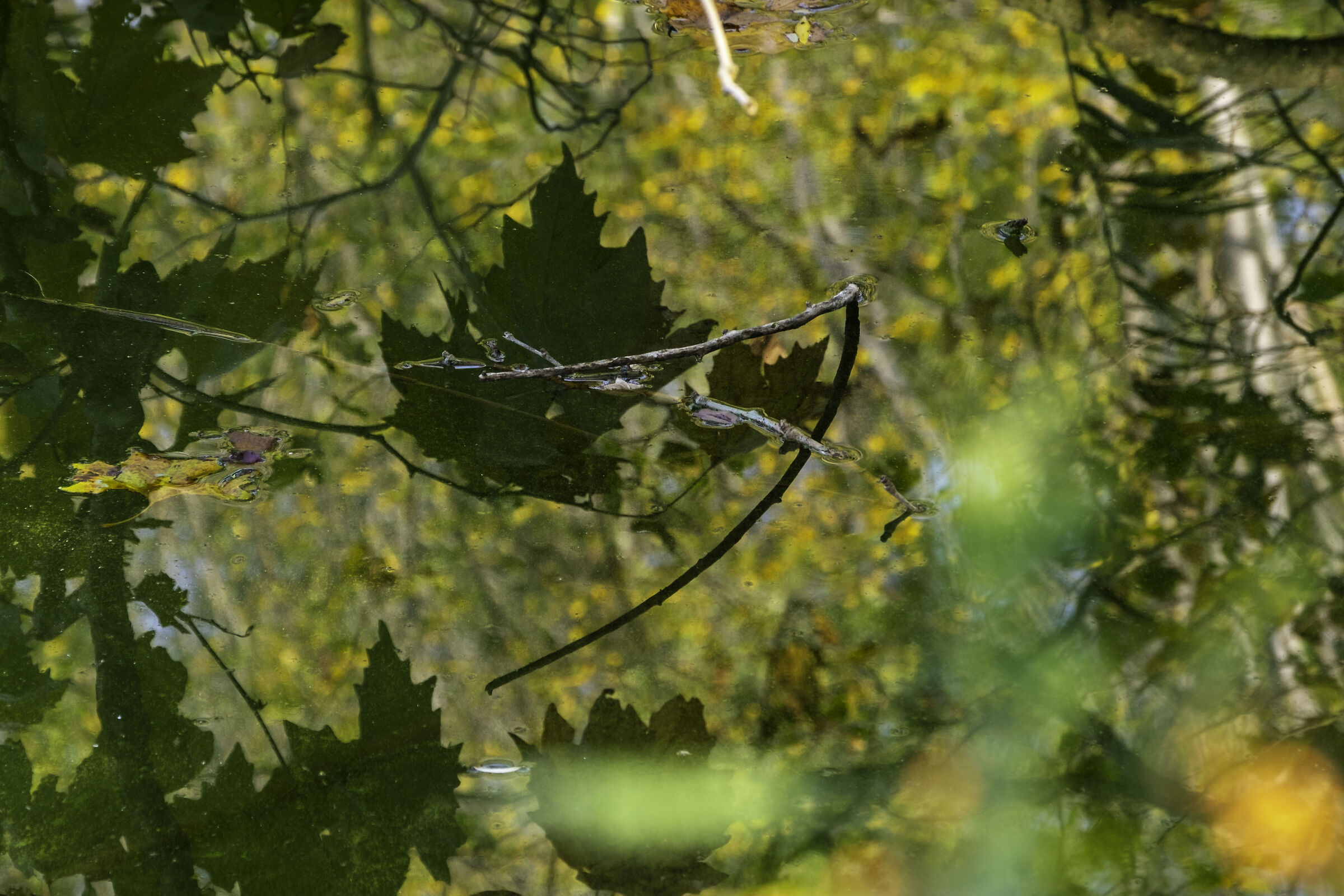 Quasi autunno!