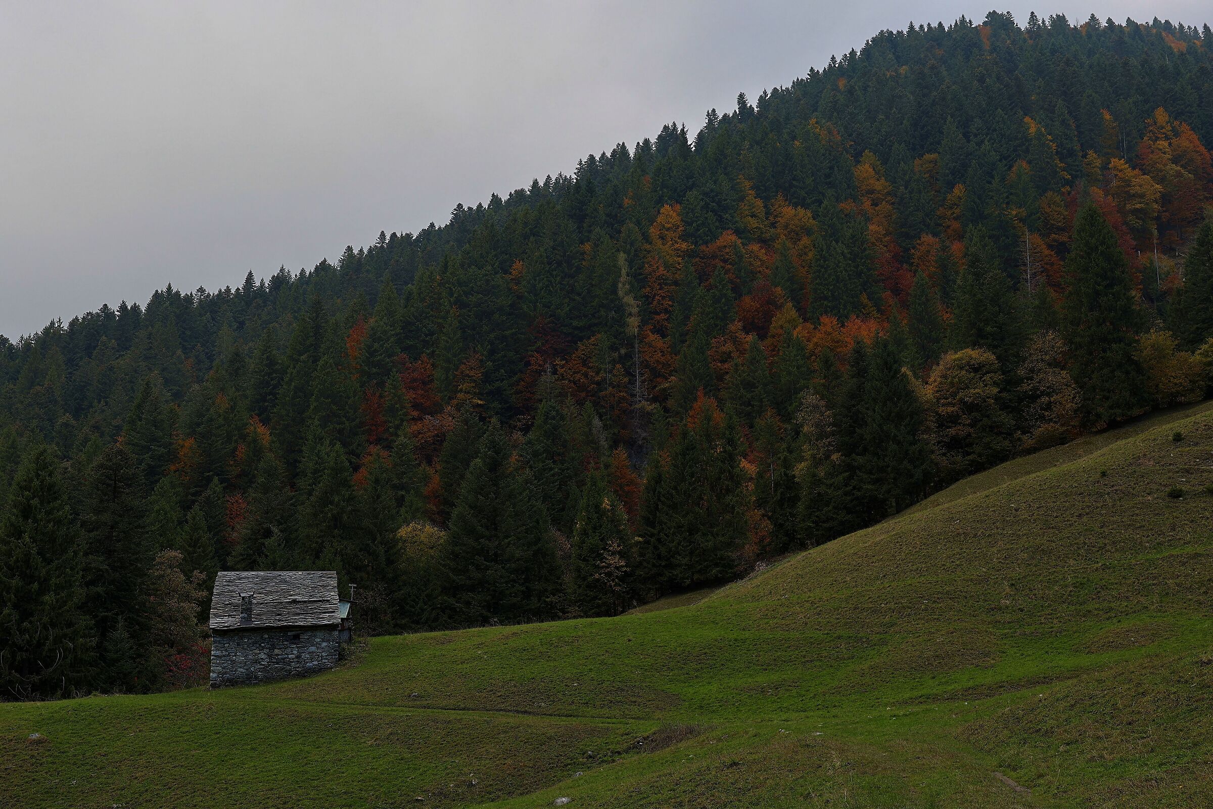 Val Sedornia