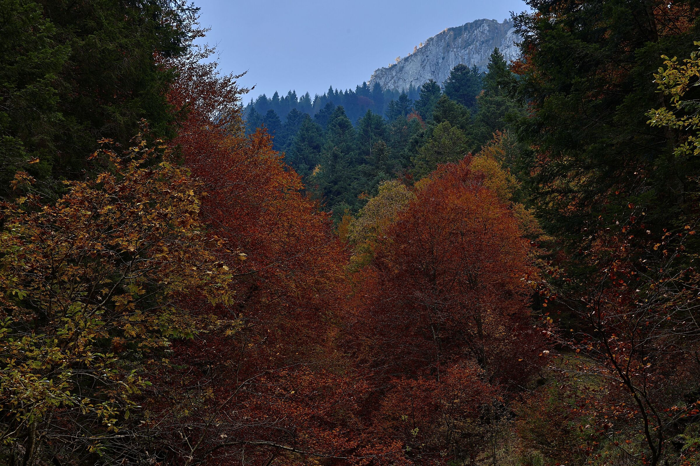 Val Sedornia