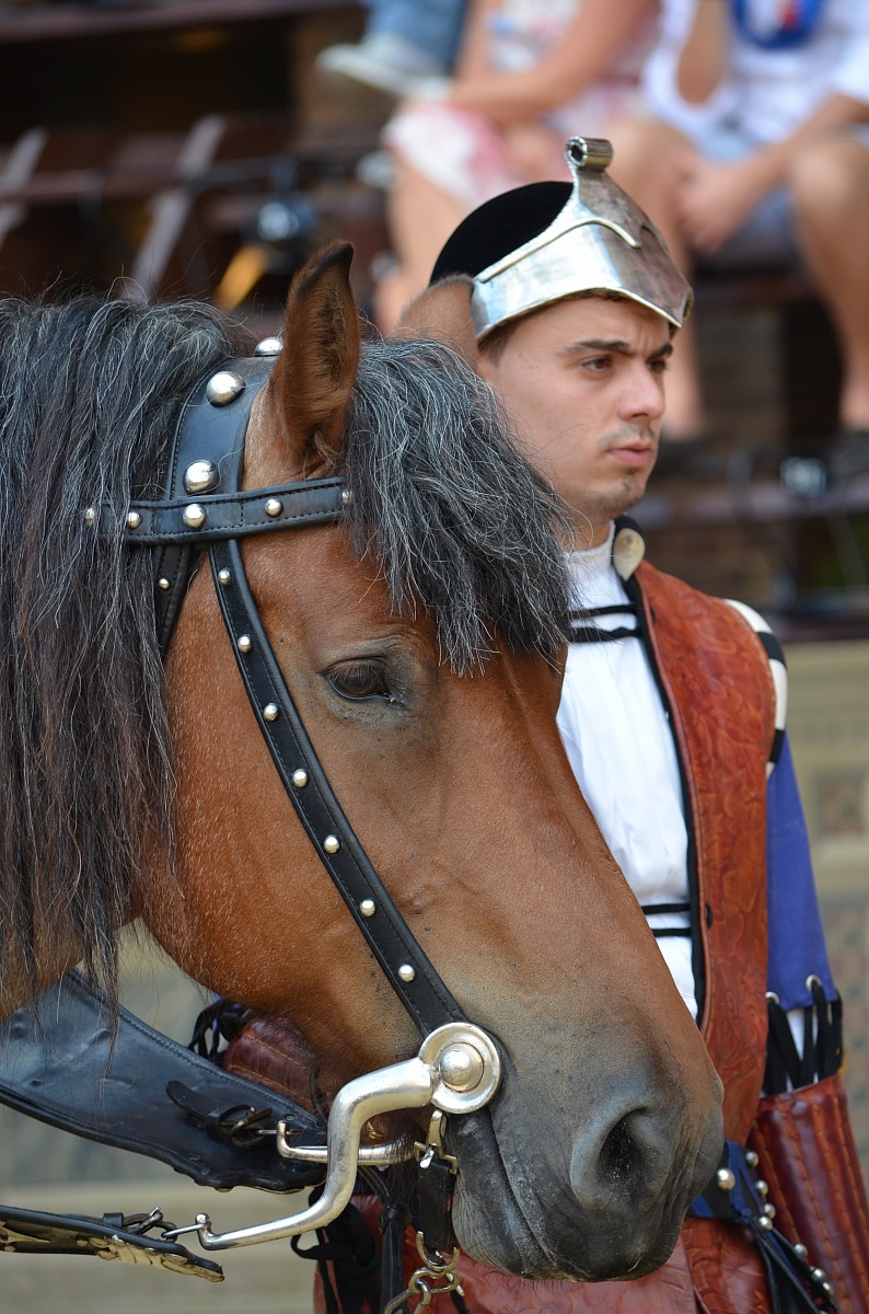 scorci di palio